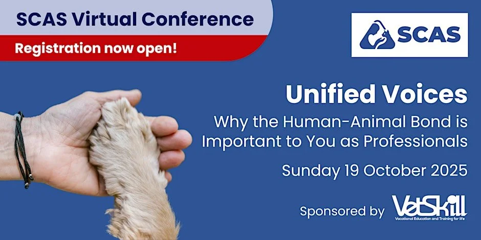 2025 SCAS Virtual Conference