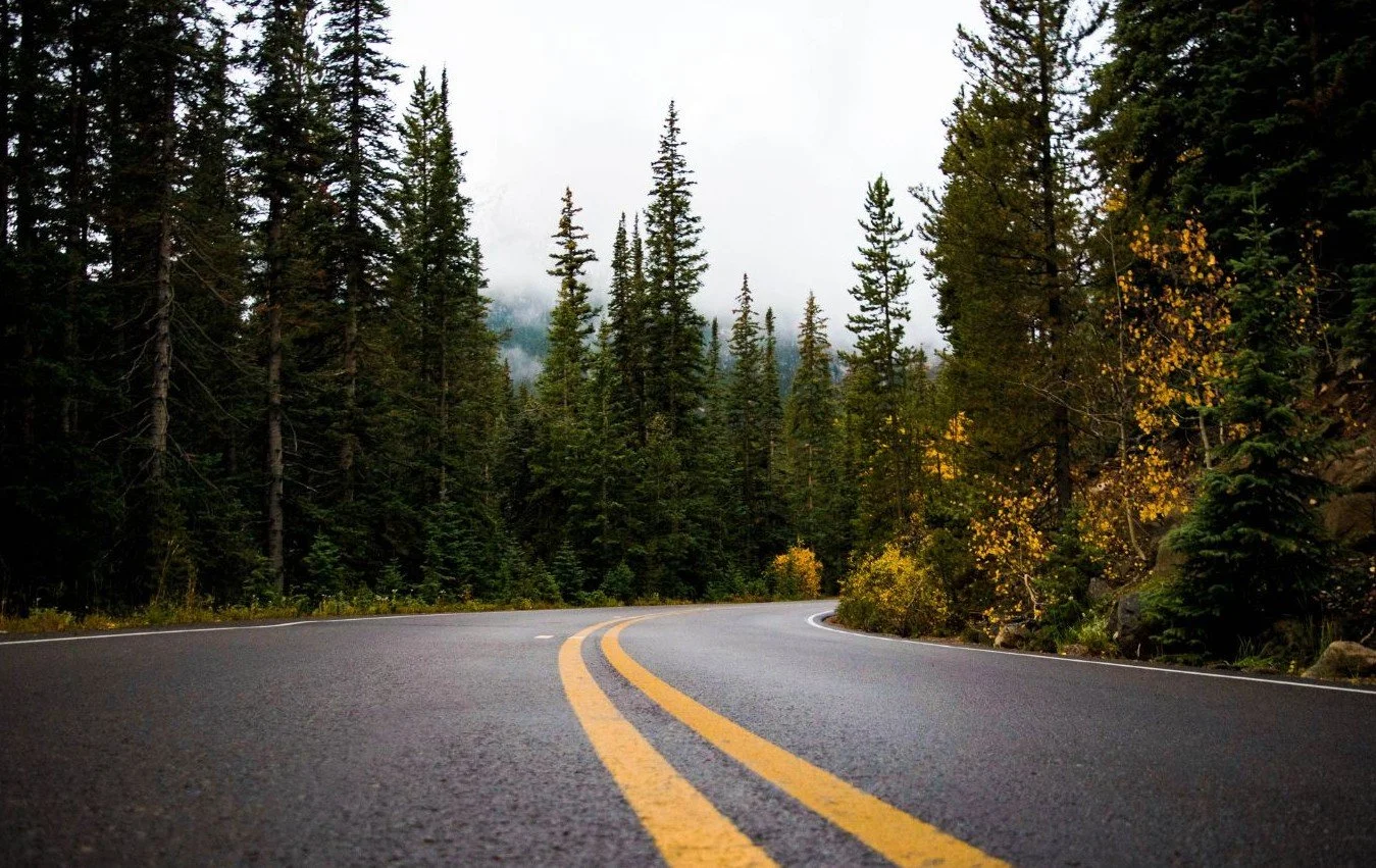 Road-Winding-Through-Evergreen-Forest.jpg