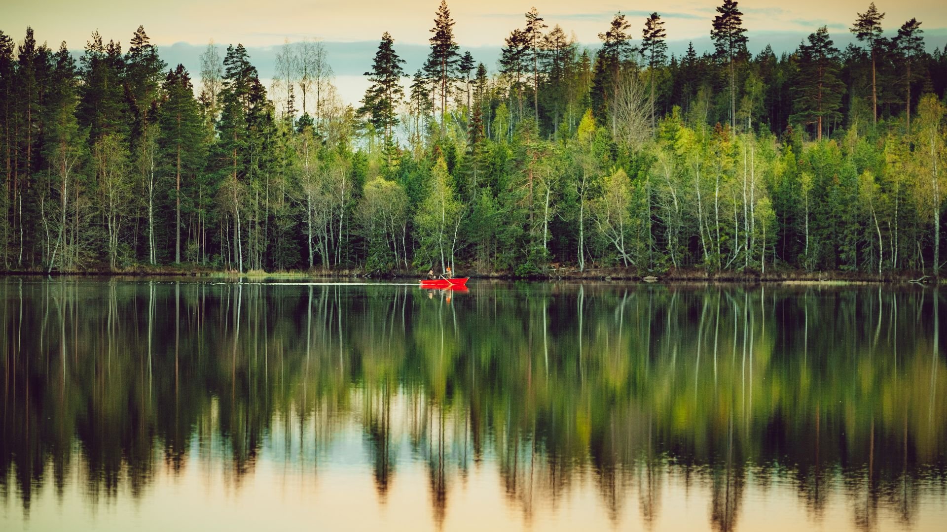 Calm-Lake-with-Row-Boat-Surrounded-by-Evergreen-Forest.jpg