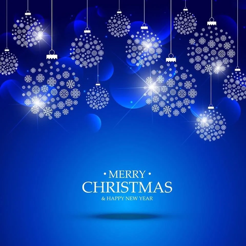 From all the Fleischer Sport family we want to wish everyone a Merey Christmas and a Happy New Year #christmas #mereychristmas
