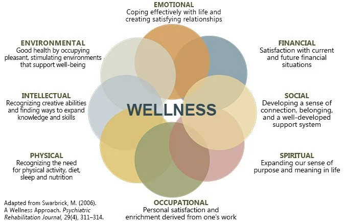 Wellness Wheel.jpg