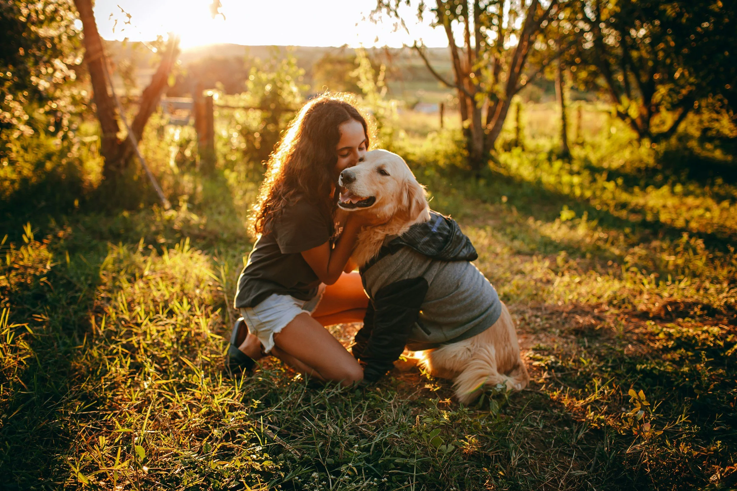 A woman and a golden retriever dog sharing a hug outdoors during sunset in a grassy field surrounded by trees.