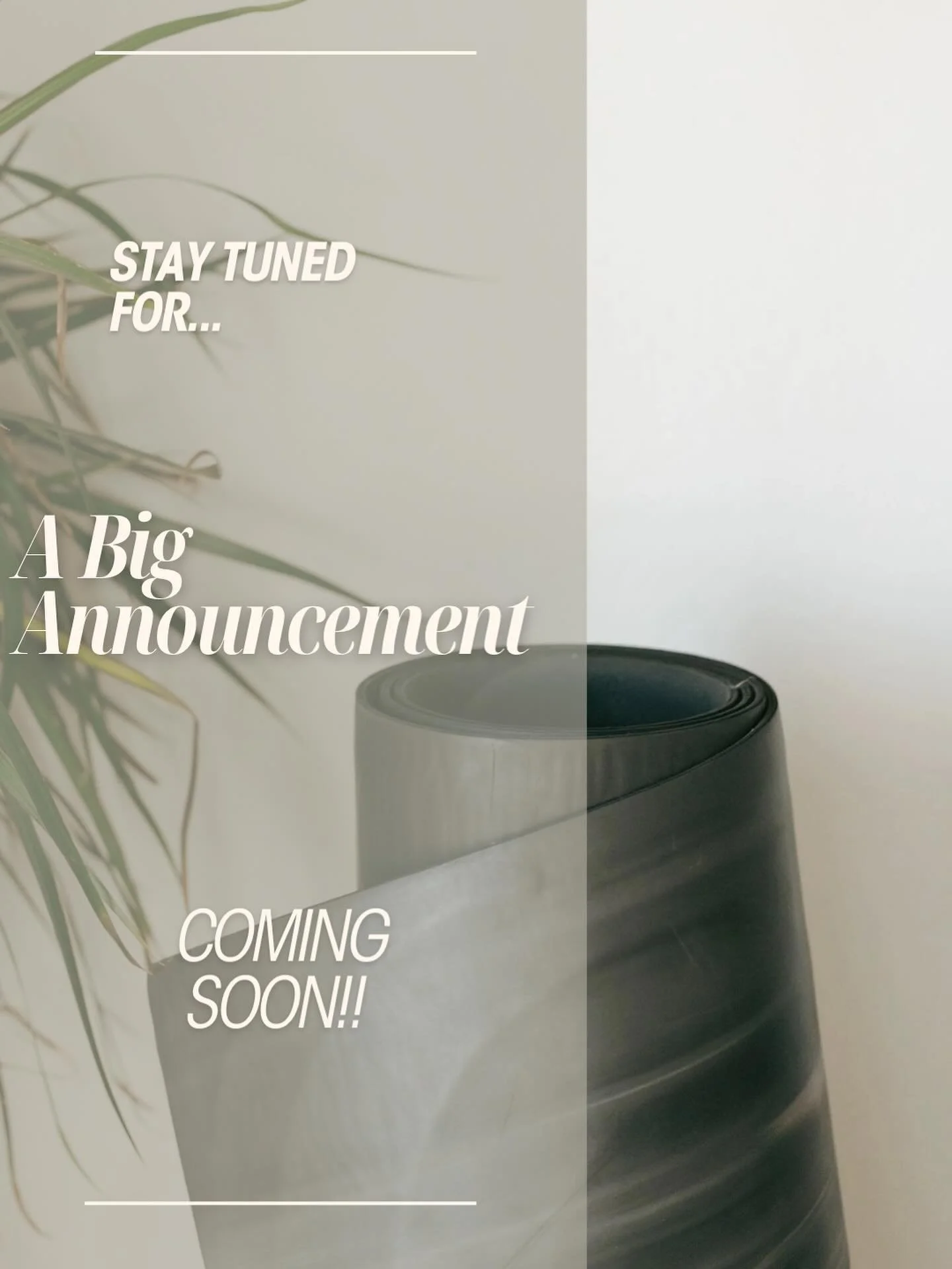 Stay Tuned for an Announcement COMING SOON📣 

🤍 The Barre Box 

#workout #fitness #exercise #woman #womensfitness #business #smallbusiness #app #onlineworkouts #training