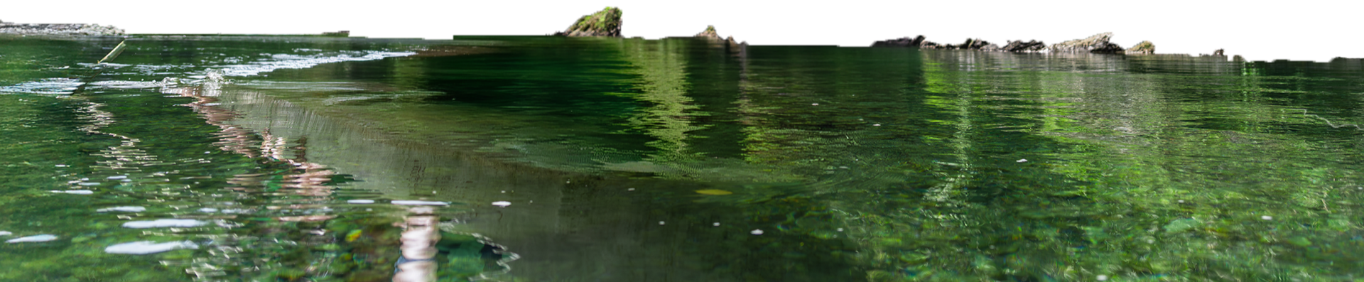 Paisaje natural con agua clara y vegetación verde