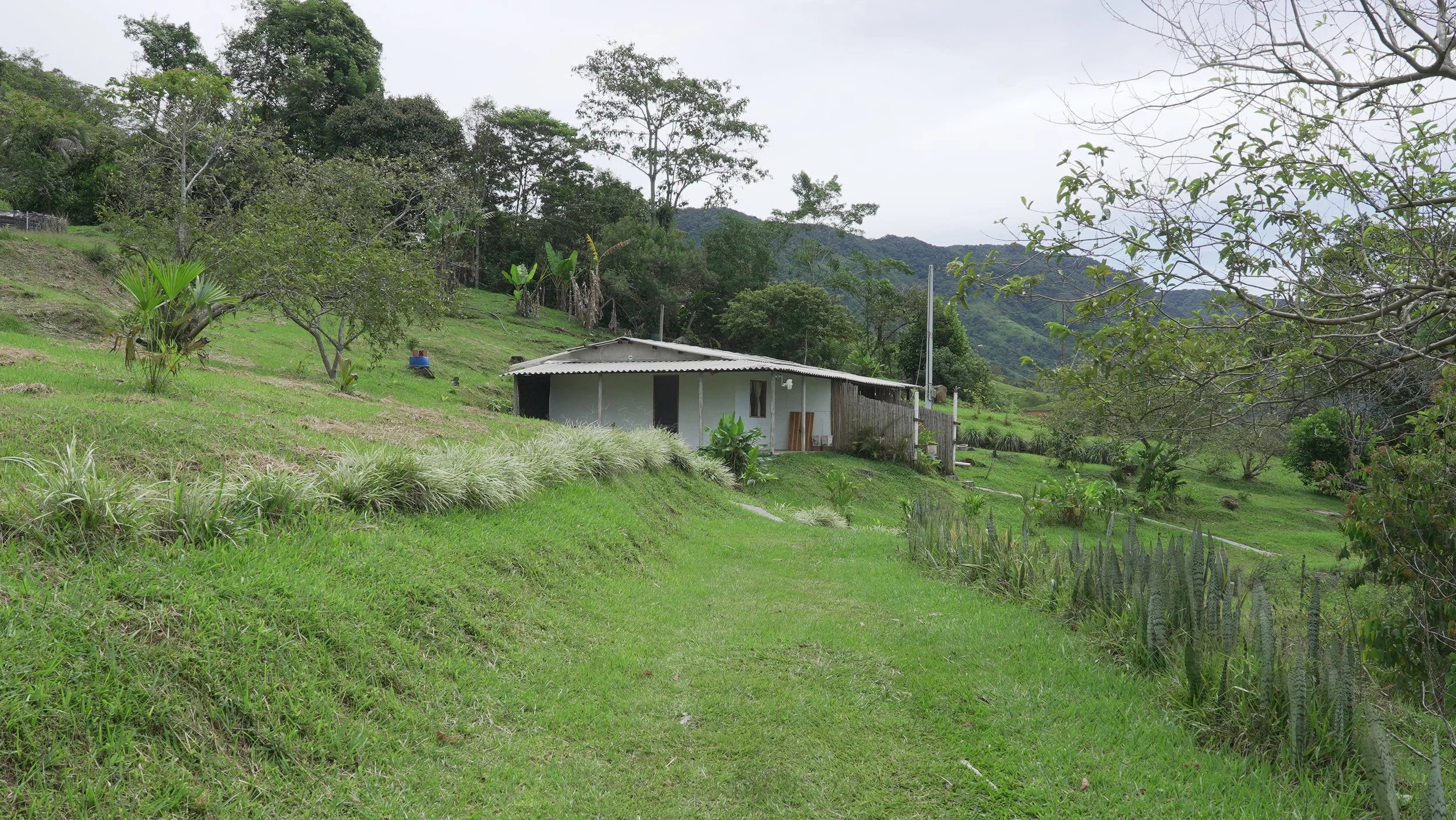 Casa pequeña en colina rodeada de vegetación y árboles en un paisaje natural y montañoso.