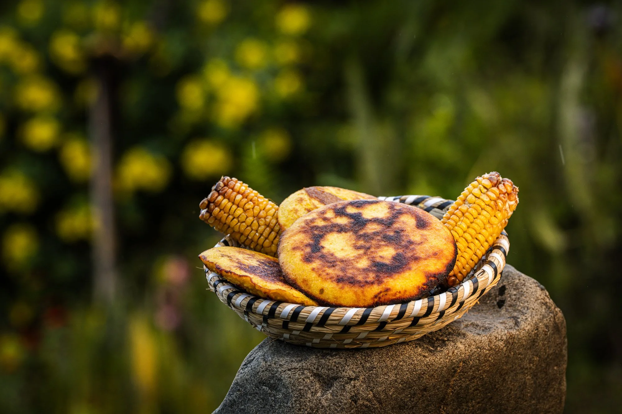 Un canasto de mimbre con tostadas de maíz y plátanos horneados en un entorno natural con fondo borroso de árboles verdes.
