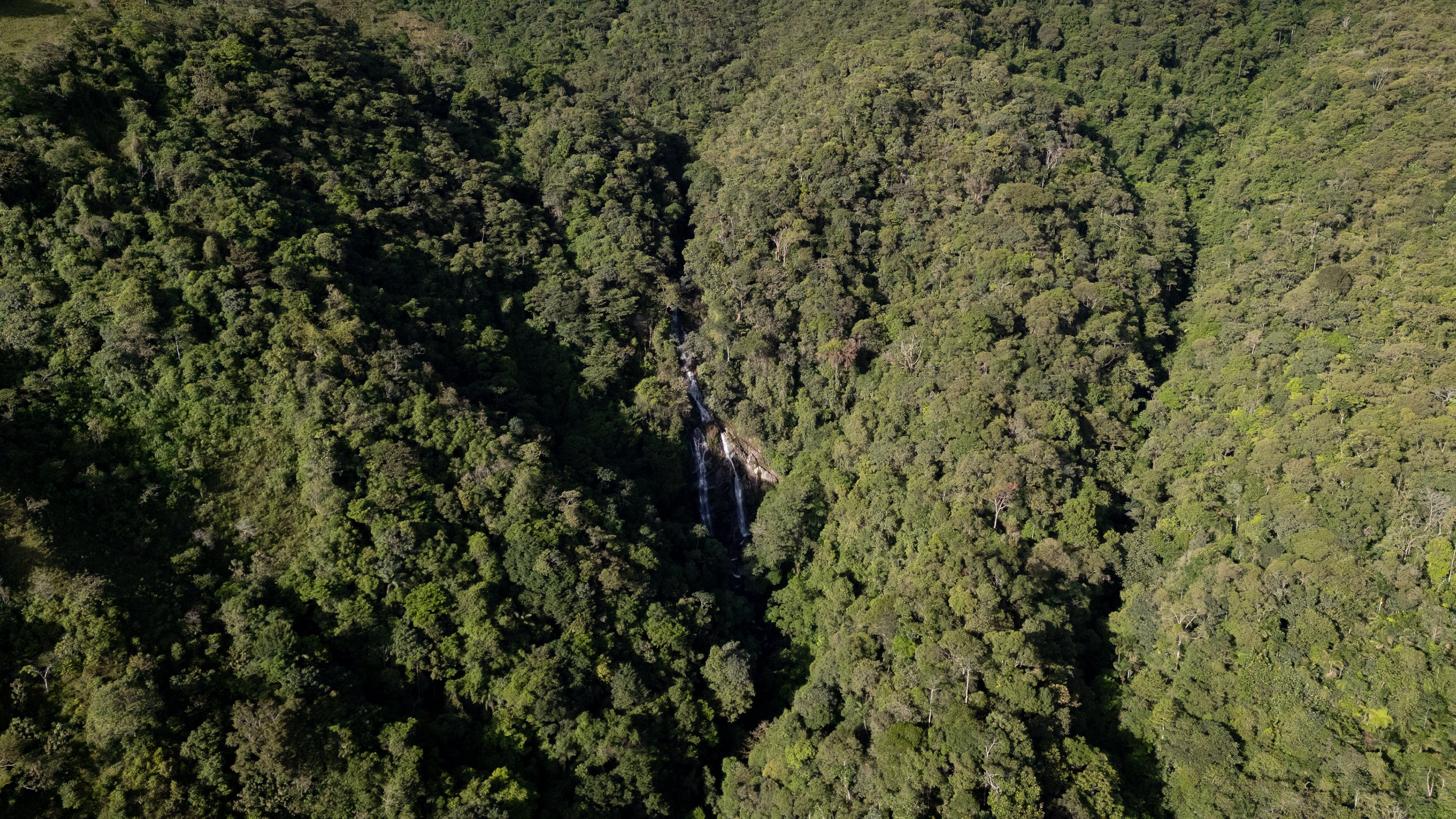 Vista aérea de un bosque tropical con un pequeño cascada en el centro.