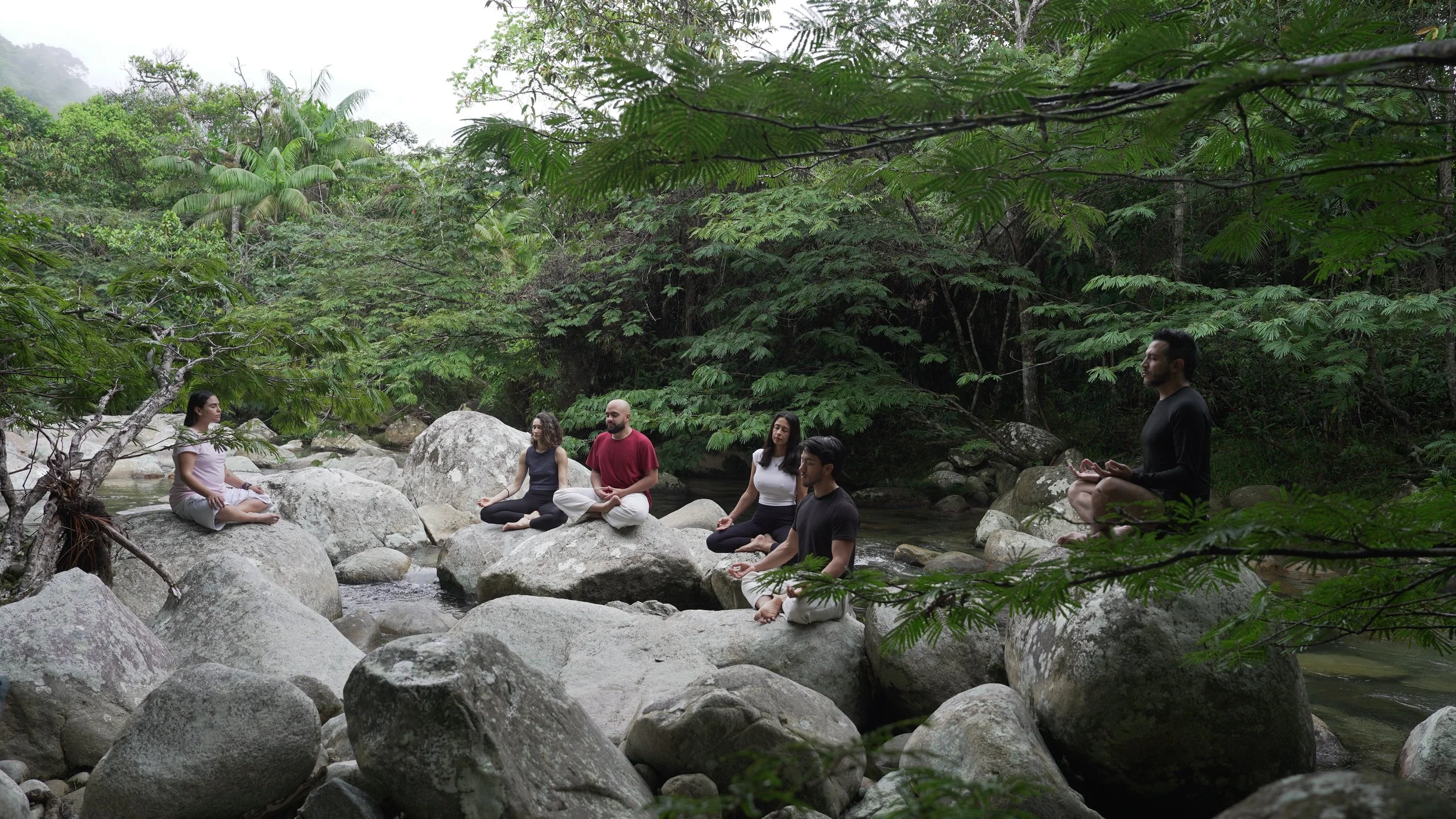 Seis personas practicando meditación en rocas junto a un río, rodeadas de vegetación densa de un bosque tropical.