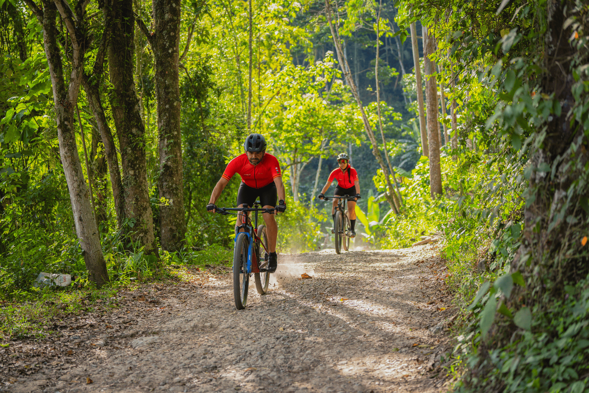 Dos personas en bicicleta pedalear por un sendero en medio de un bosque verde con árboles altos y follaje denso.