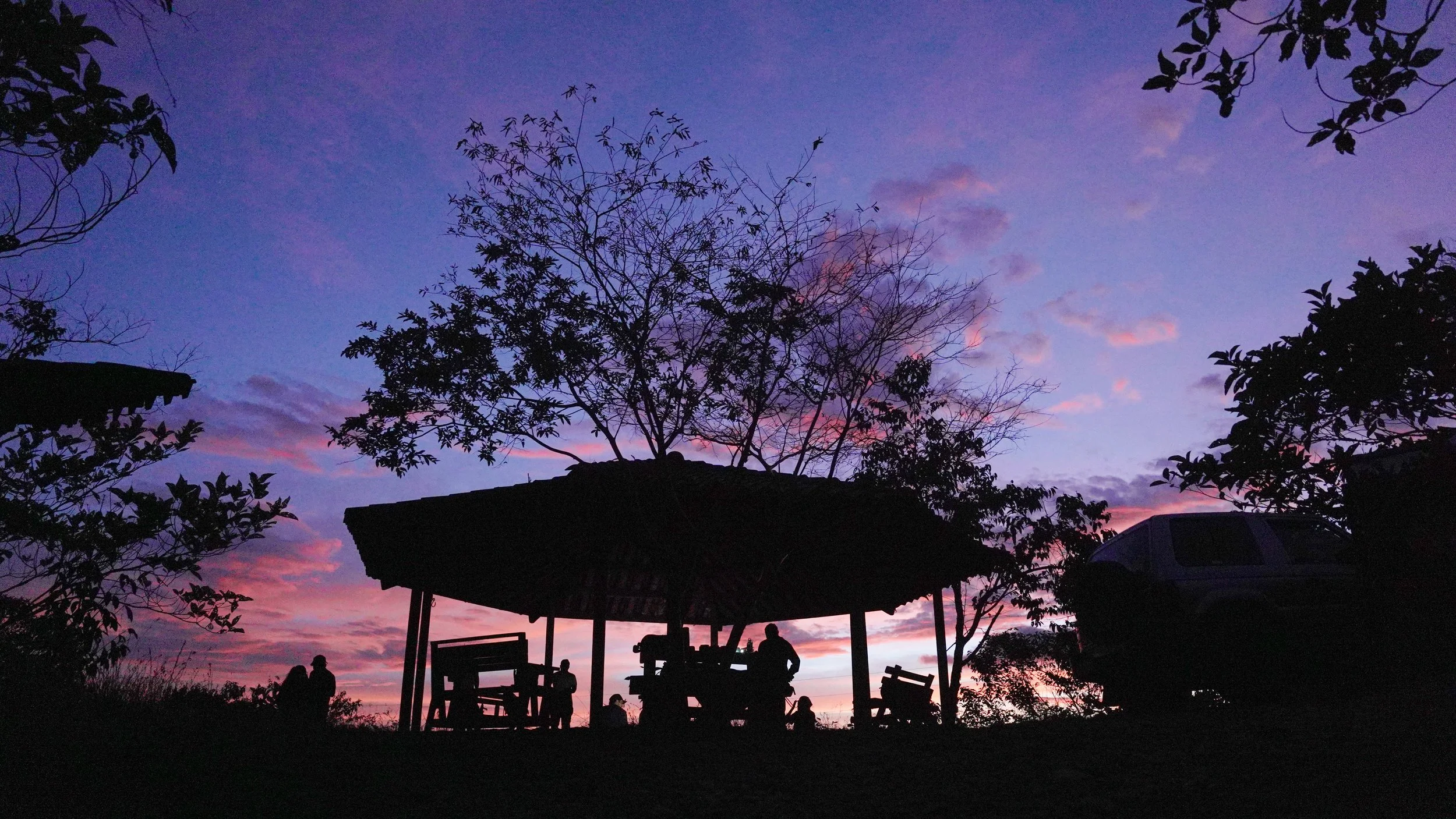 Silhouette de personas y árboles en un atardecer con cielo de tonos rosadoss y morados.