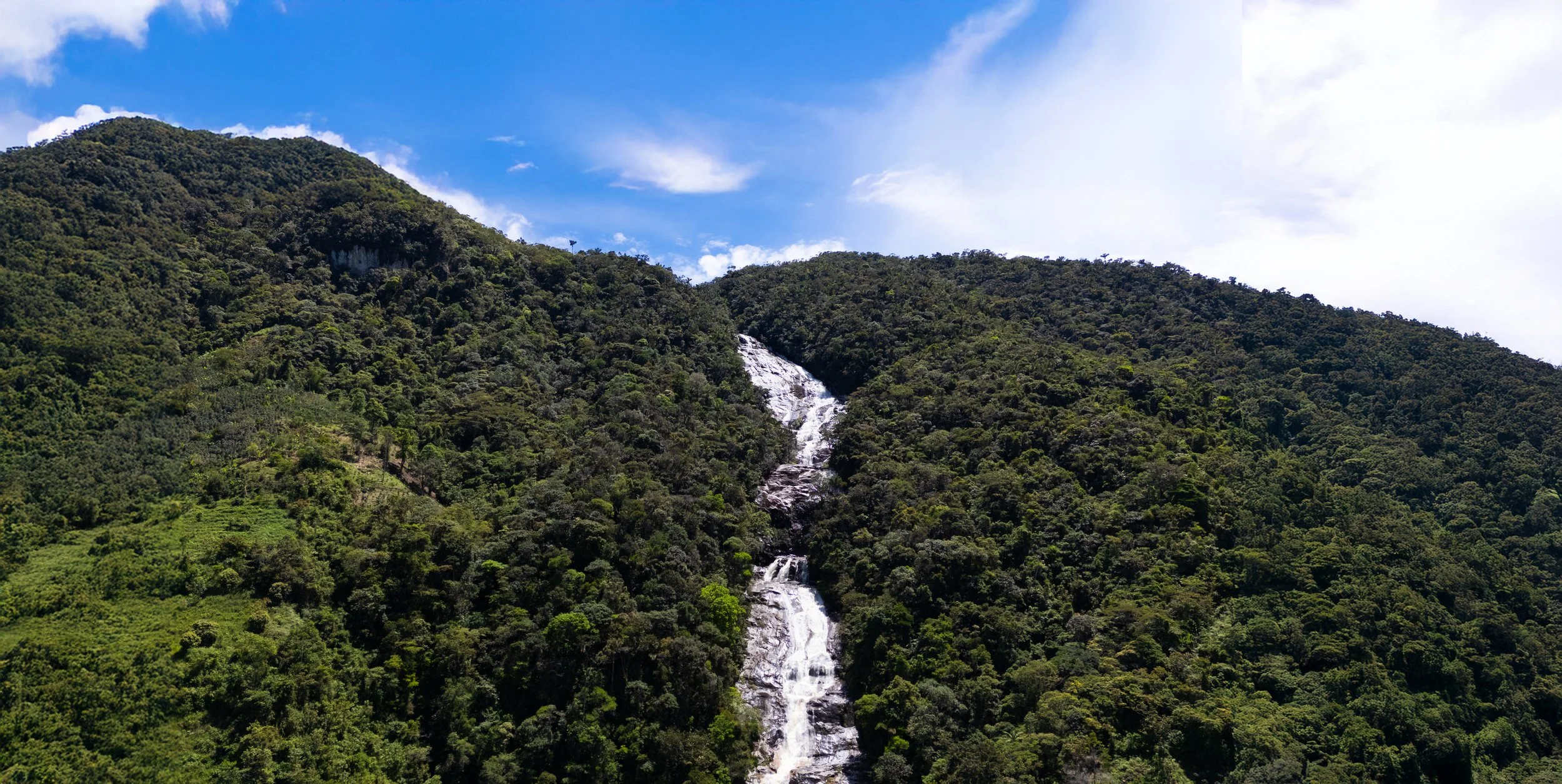 Una cascada que desciende por una montaña cubierta de vegetación densa en un día soleado y despejado.