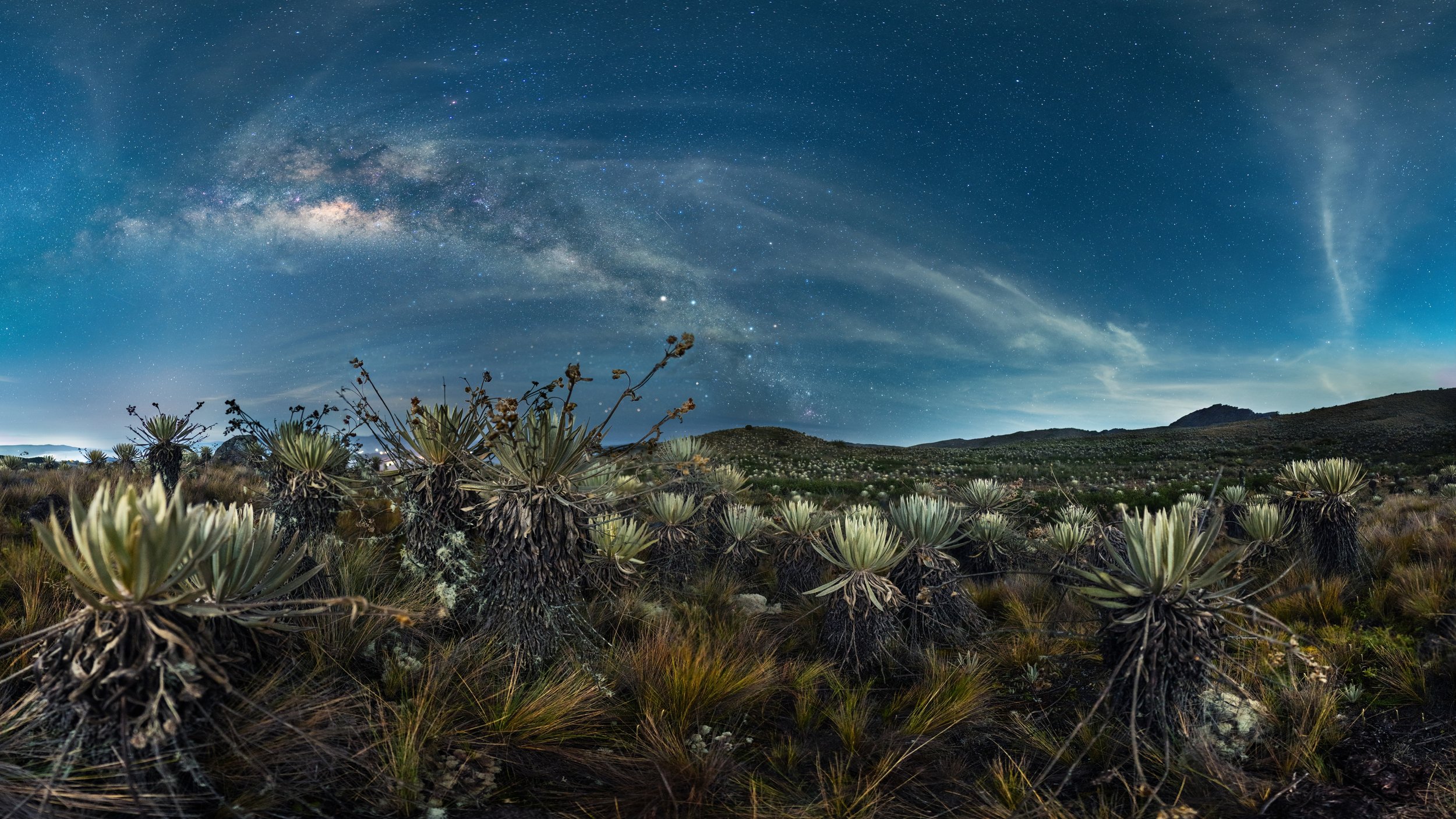 1er Puesto: Mónica Fernanda Mesa - Entre Frailejones y Estrellas