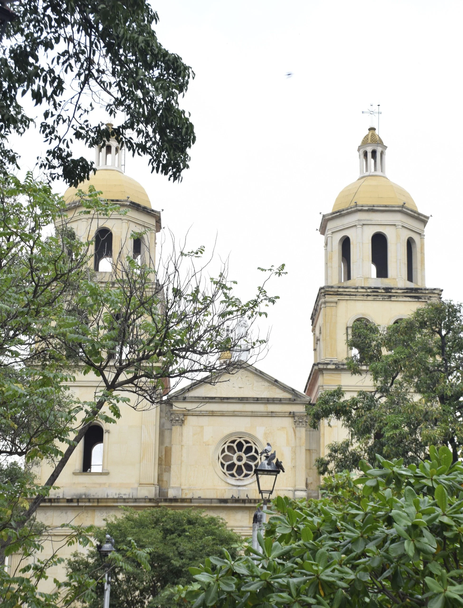 Una iglesia con dos torres y un rosetón en la fachada, rodeada de árboles con follaje verde.