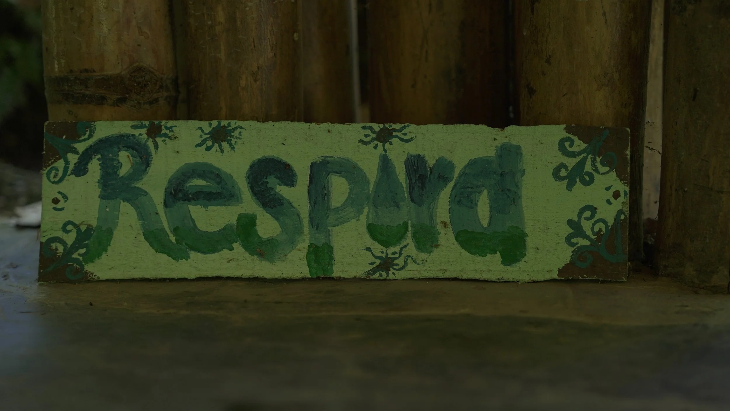 Cartel de madera pintado a mano con la palabra 'Reserva' en letras verdes y decoraciones de insectos y vegetación en colores oscuros sobre fondo verde claro, colocado frente a una pared de madera.