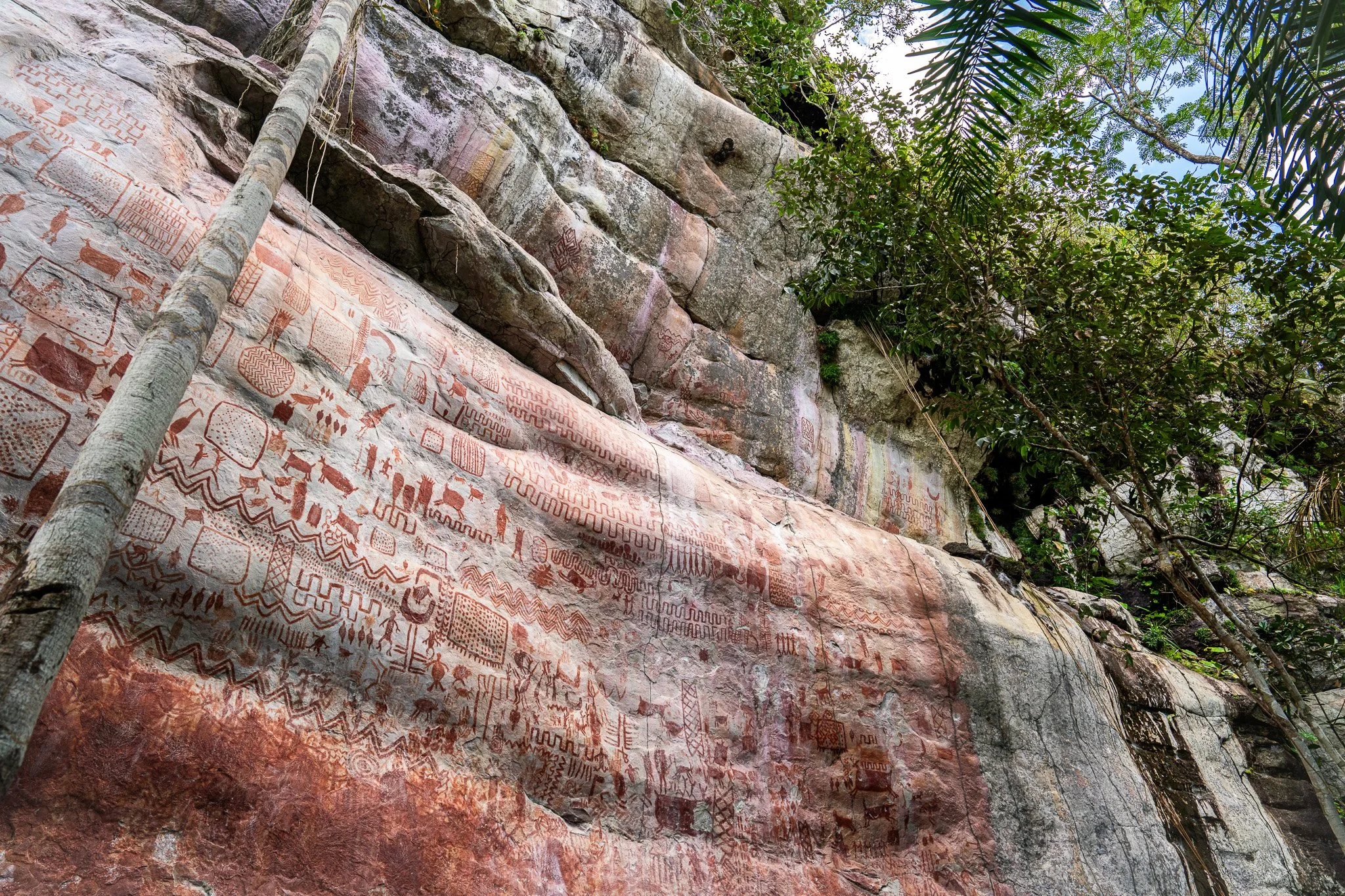 Pared de roca con petroglifos antiguos de color rojizo y marrón, rodeada de vegetación tropical con árboles y hojas verdes.