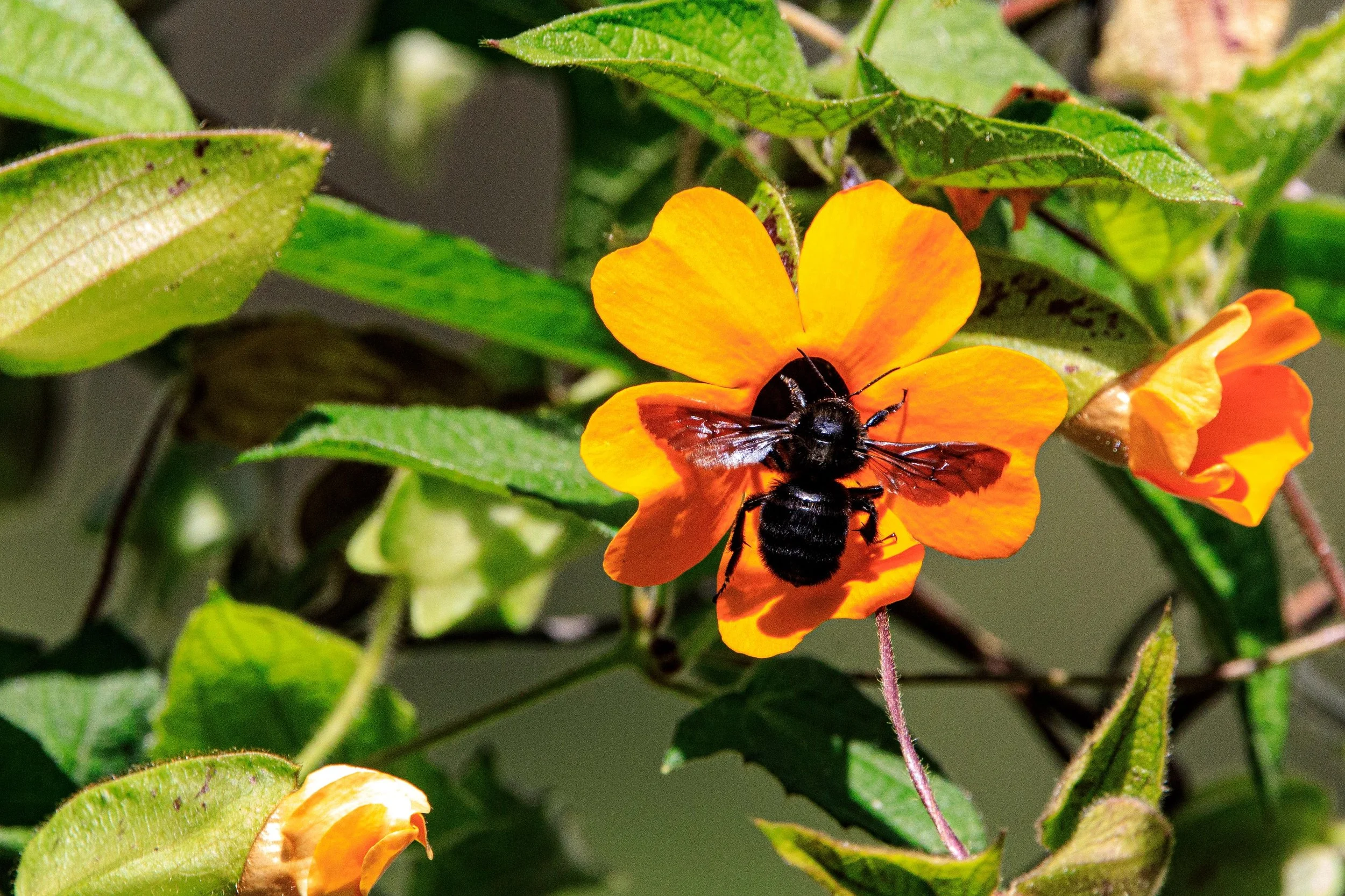 WhatsApp Image 2025-05-30 at 3.56.41 PM (1).jpeg