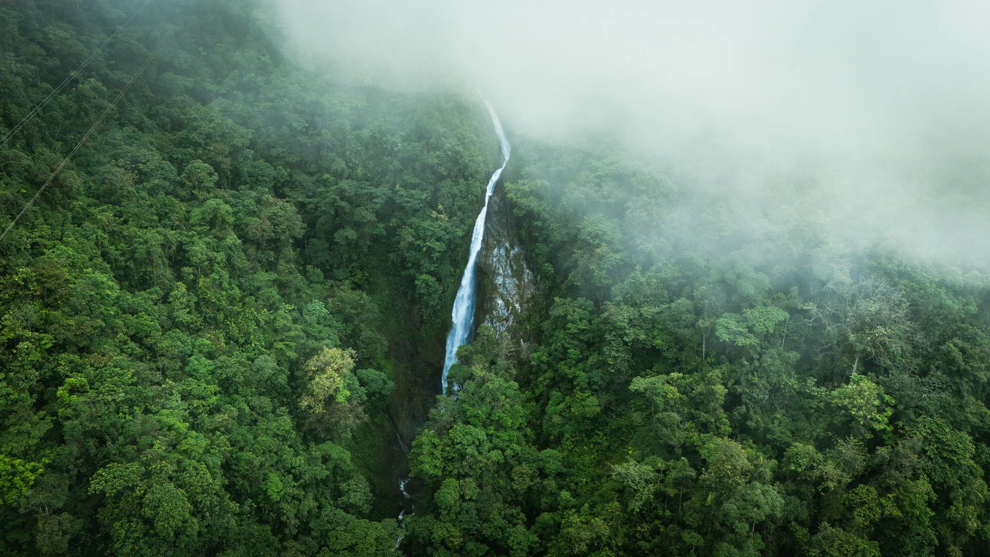 Cascada en medio de una selva verde con neblina.