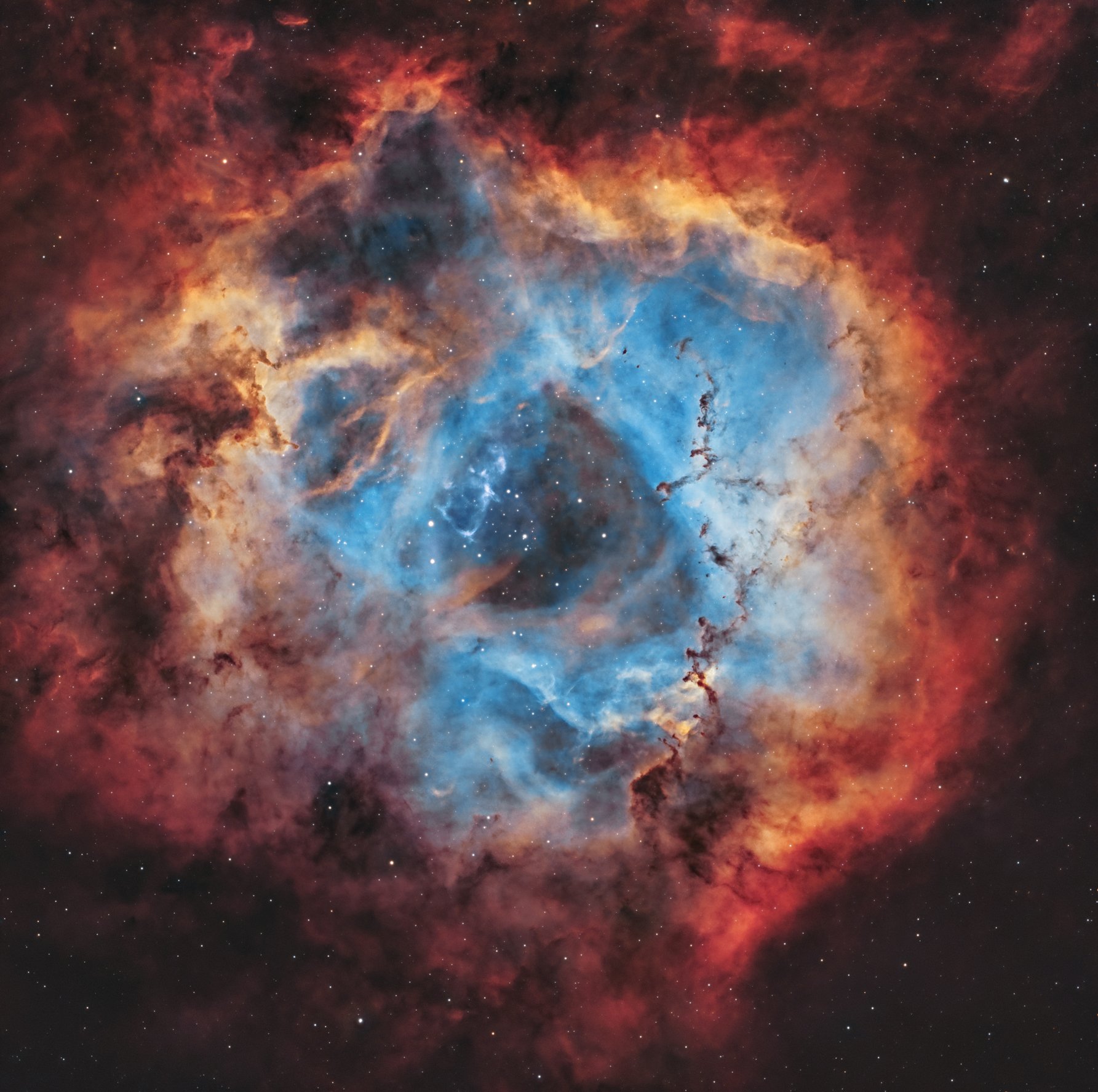 3er Puesto: Andrés Felipe Molina - Corazón de la Roseta 