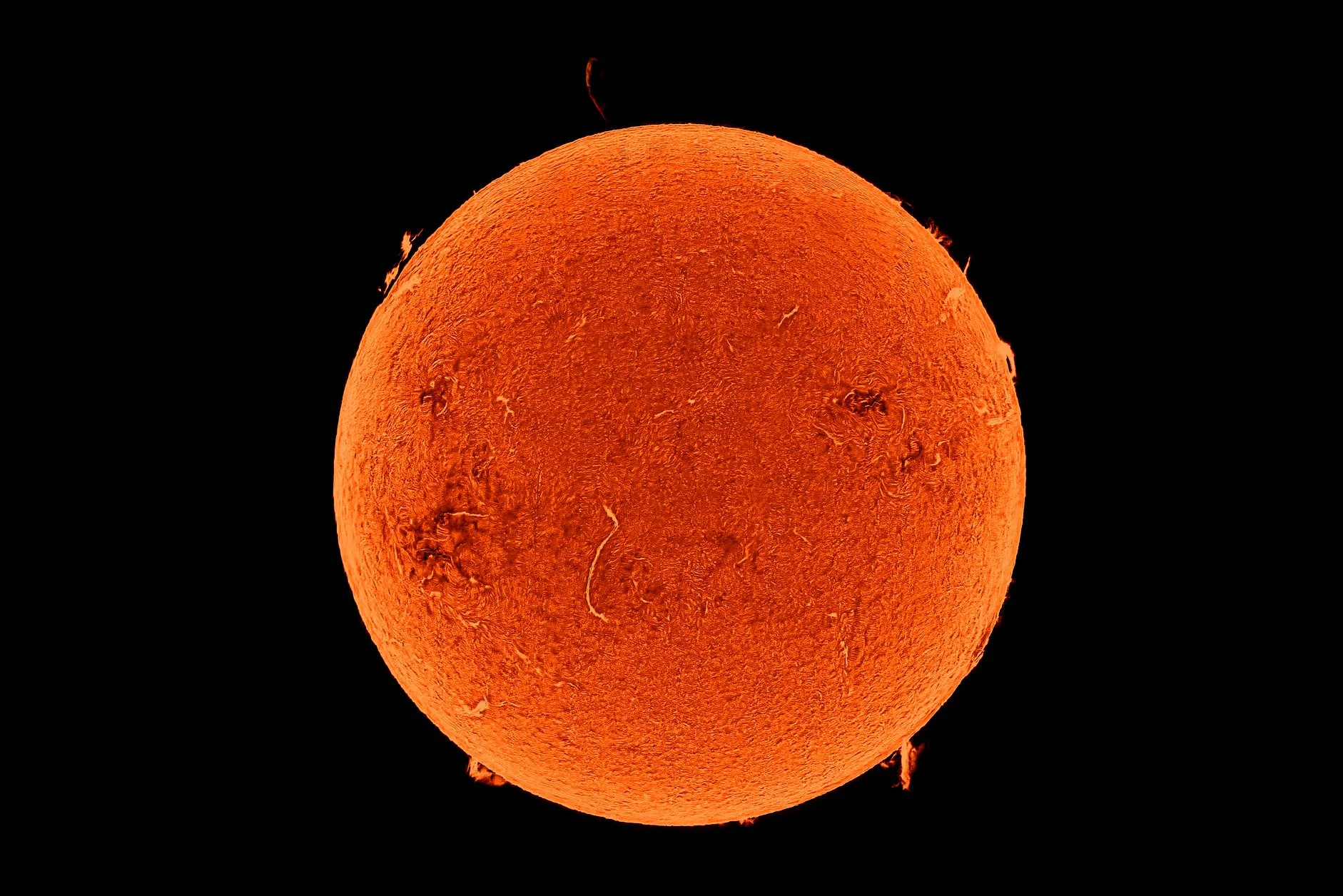 2do Puesto: Daniel Ernesto Espitia Becerra - La piel del sol