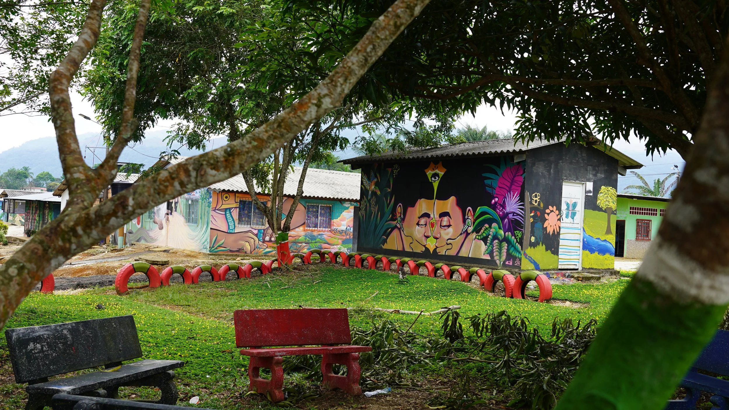 Escuelas en un entorno natural con murales coloridos en las paredes, árboles y bancos en primer plano.