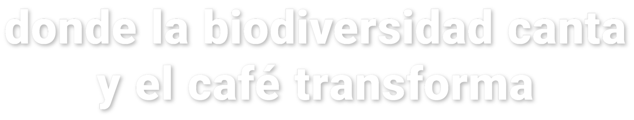 Texto en negritas que dice 'donde la biodiversidad canta y el café transforma' en letras blancas con contorno negro sobre fondo transparente.
