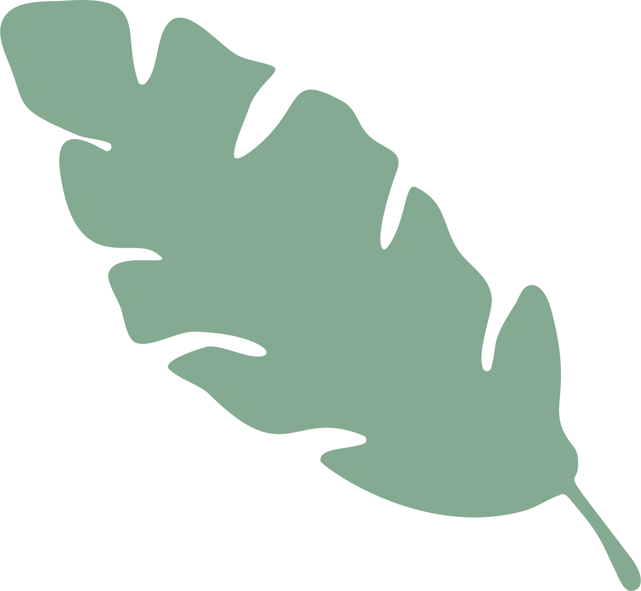 Ilustración de hojas de filodendro de color verde en estilo minimalista.