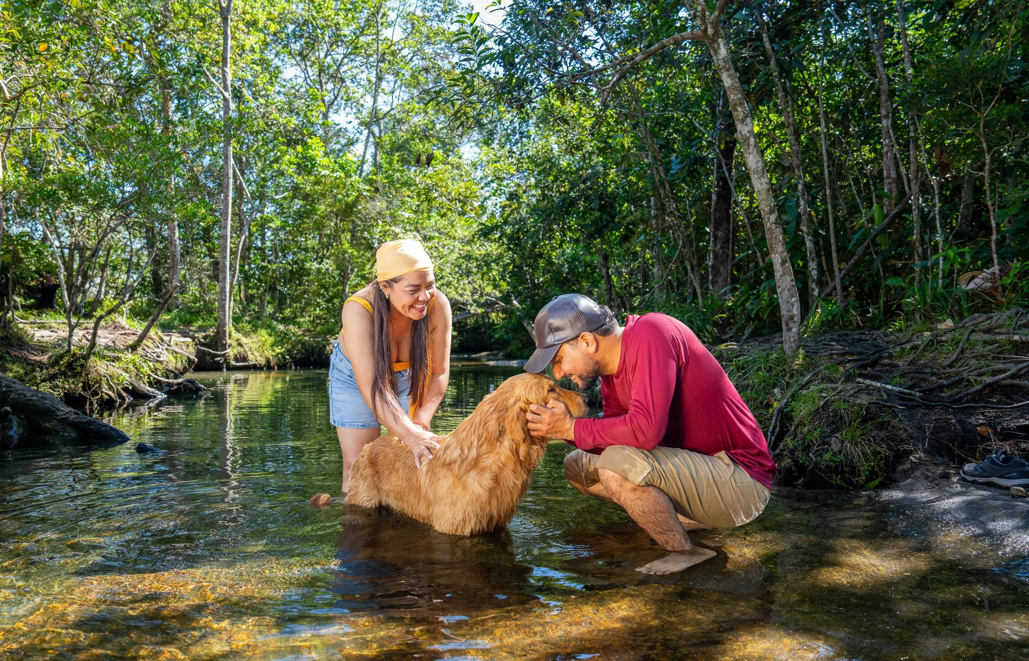 Personas bañando un perro en un río en un bosque verde con árboles y agua clara.