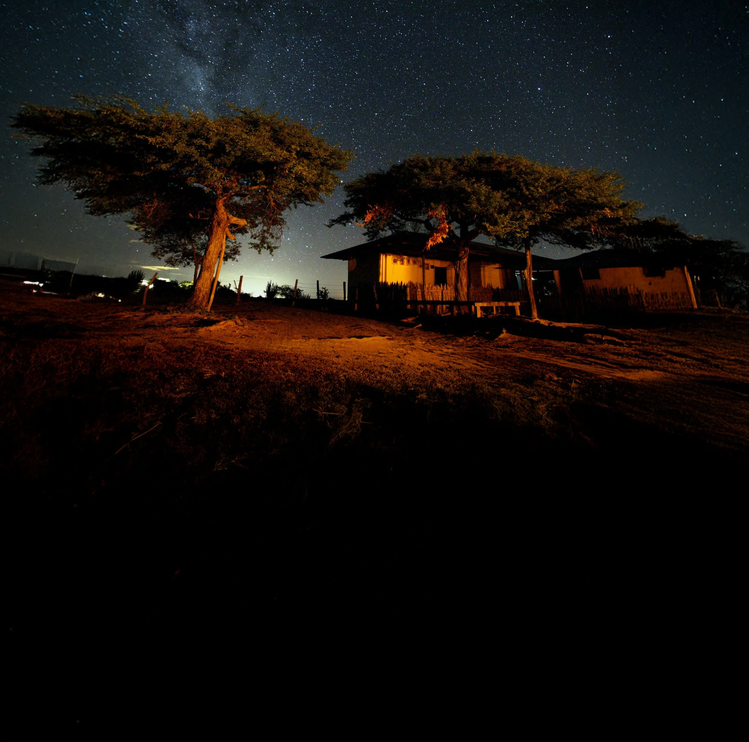 Noche despejada con cielo lleno de estrellas y la Vía Láctea visible, árboles y una pequeña estructura de construccion en primer plano.