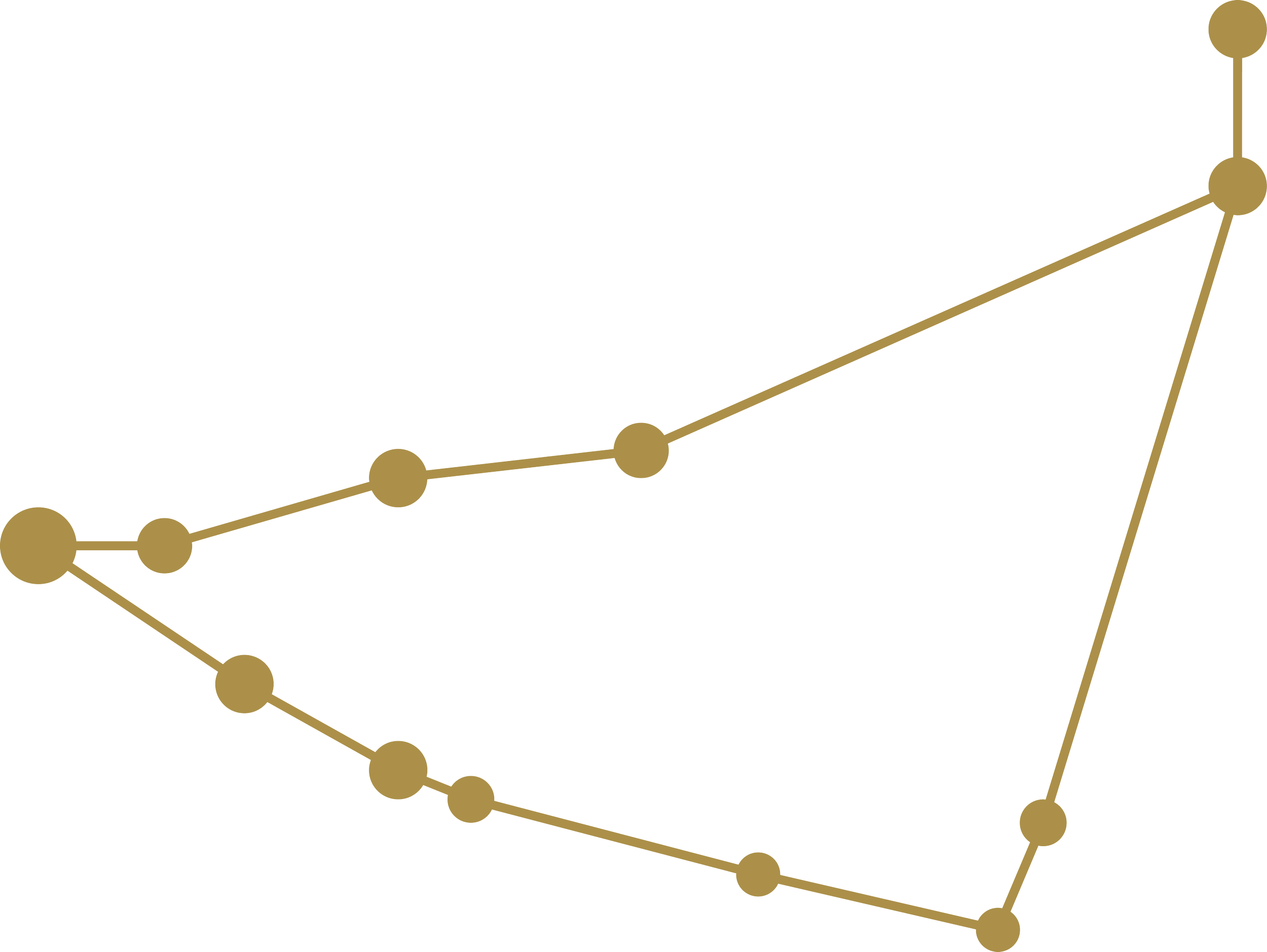 Gráfico de línea dorado con puntos resaltados en fondo negro.