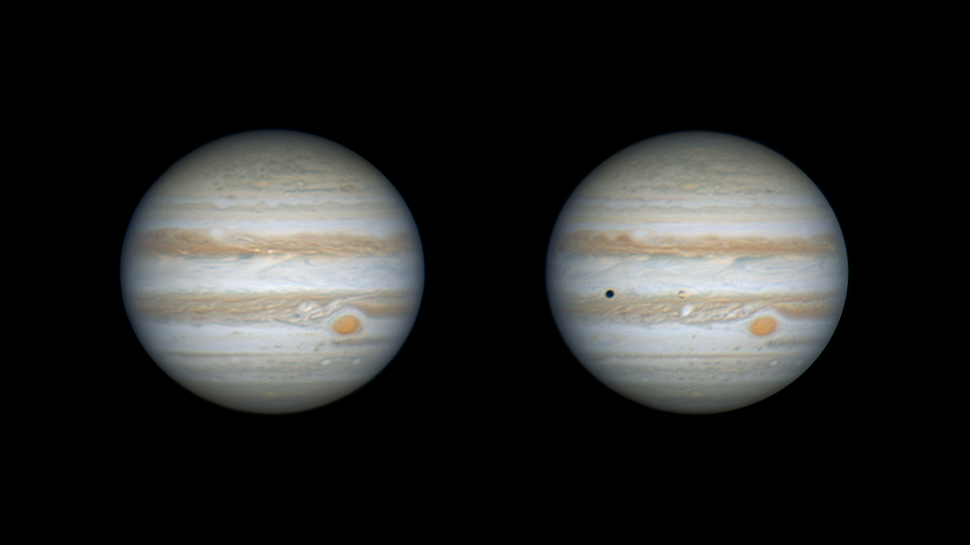 3er Puesto: Giovani Ñañez Fuentes - ¡Están vivos!