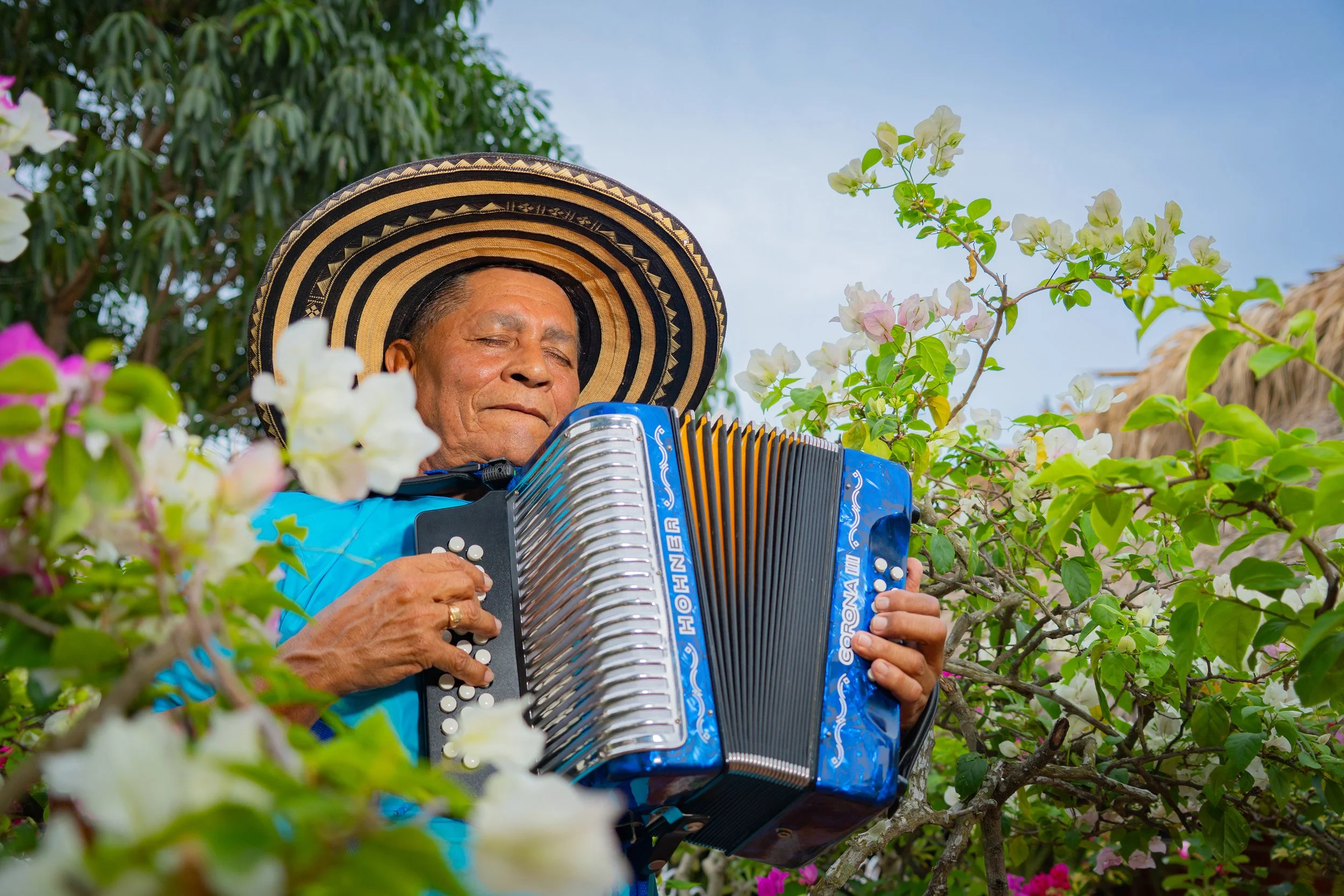 Un hombre mayor tocando un acordeón entre árboles con flores blancas y rosadas, lleva un sombrero grande y una camisa azul, con una expresión de concentración y paz.
