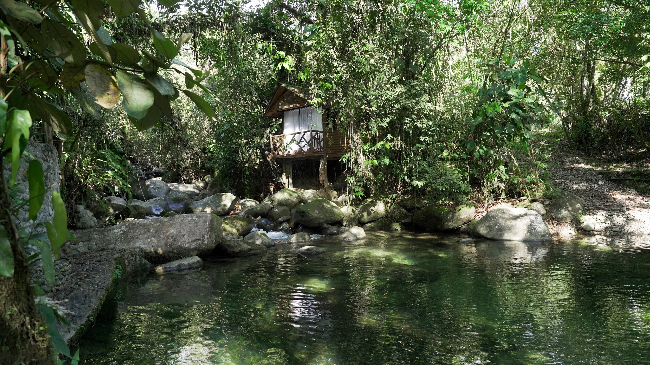 Una casa de madera en medio de la selva, junto a un río con piedras, rodeada de vegetación densa y árboles altos.