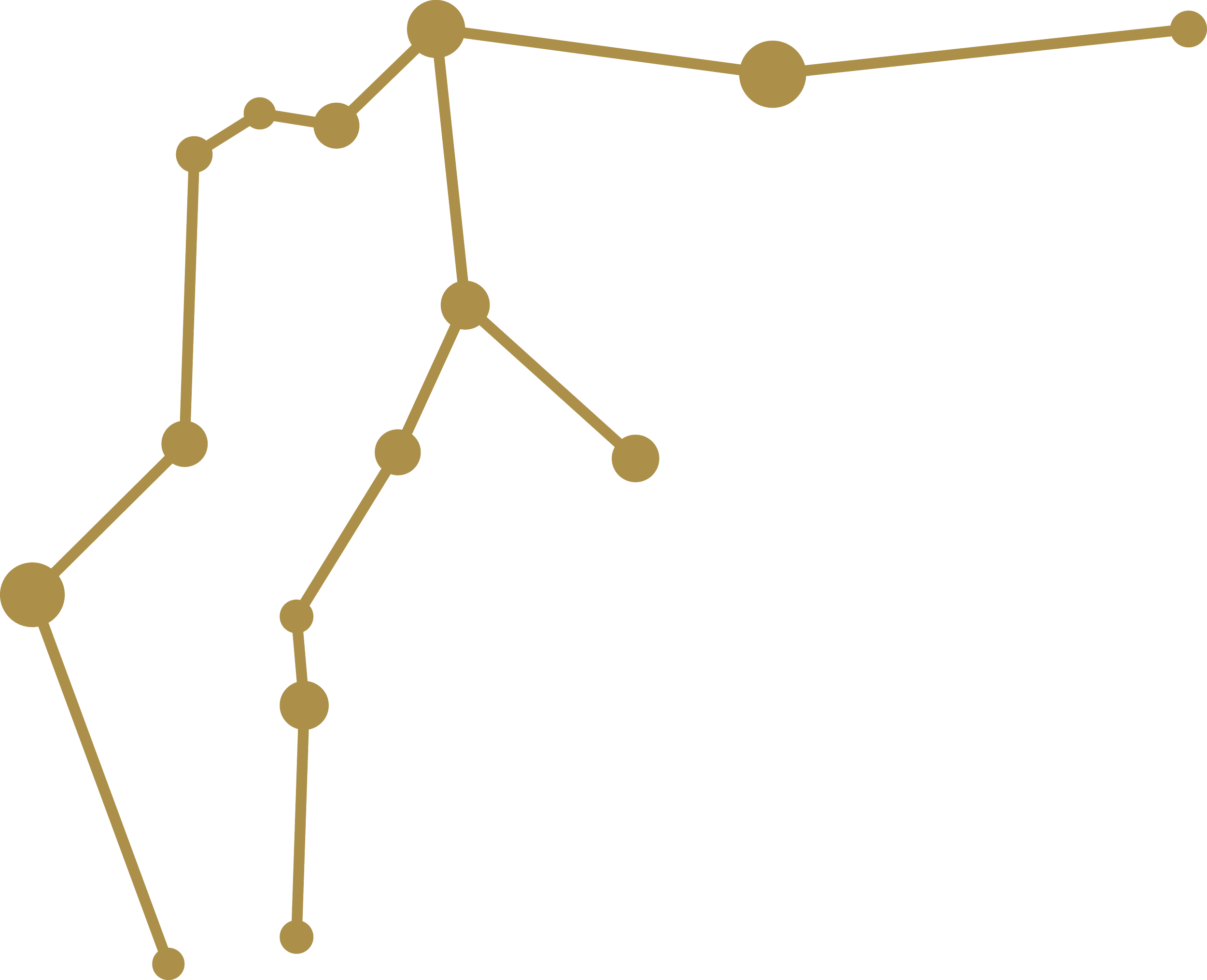 Diagrama de una constelación con estrellas conectadas por líneas doradas en fondo negro.
