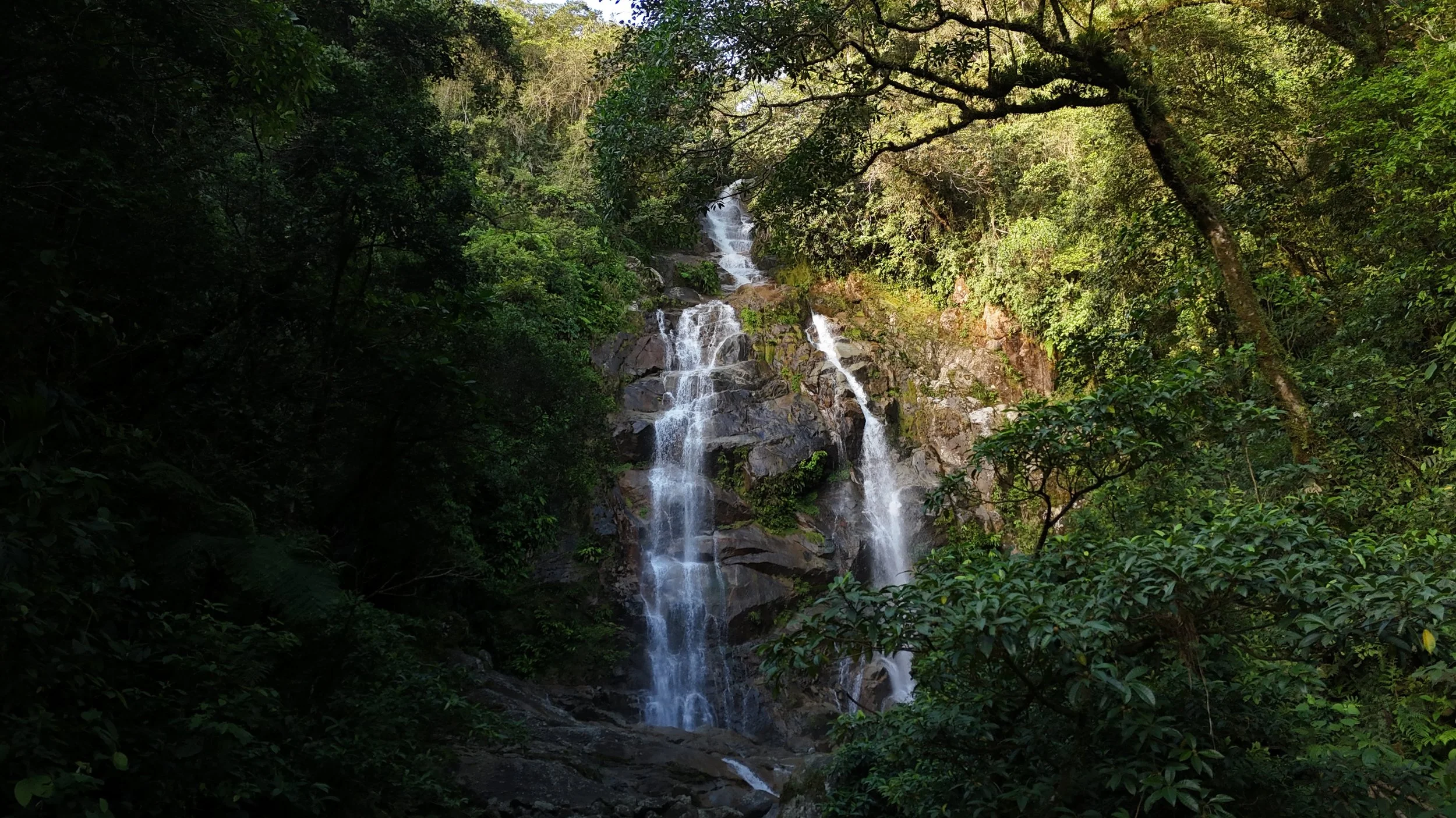 Cascada en un entorno selvático con árboles verdes y rocas color marrón oscuro.