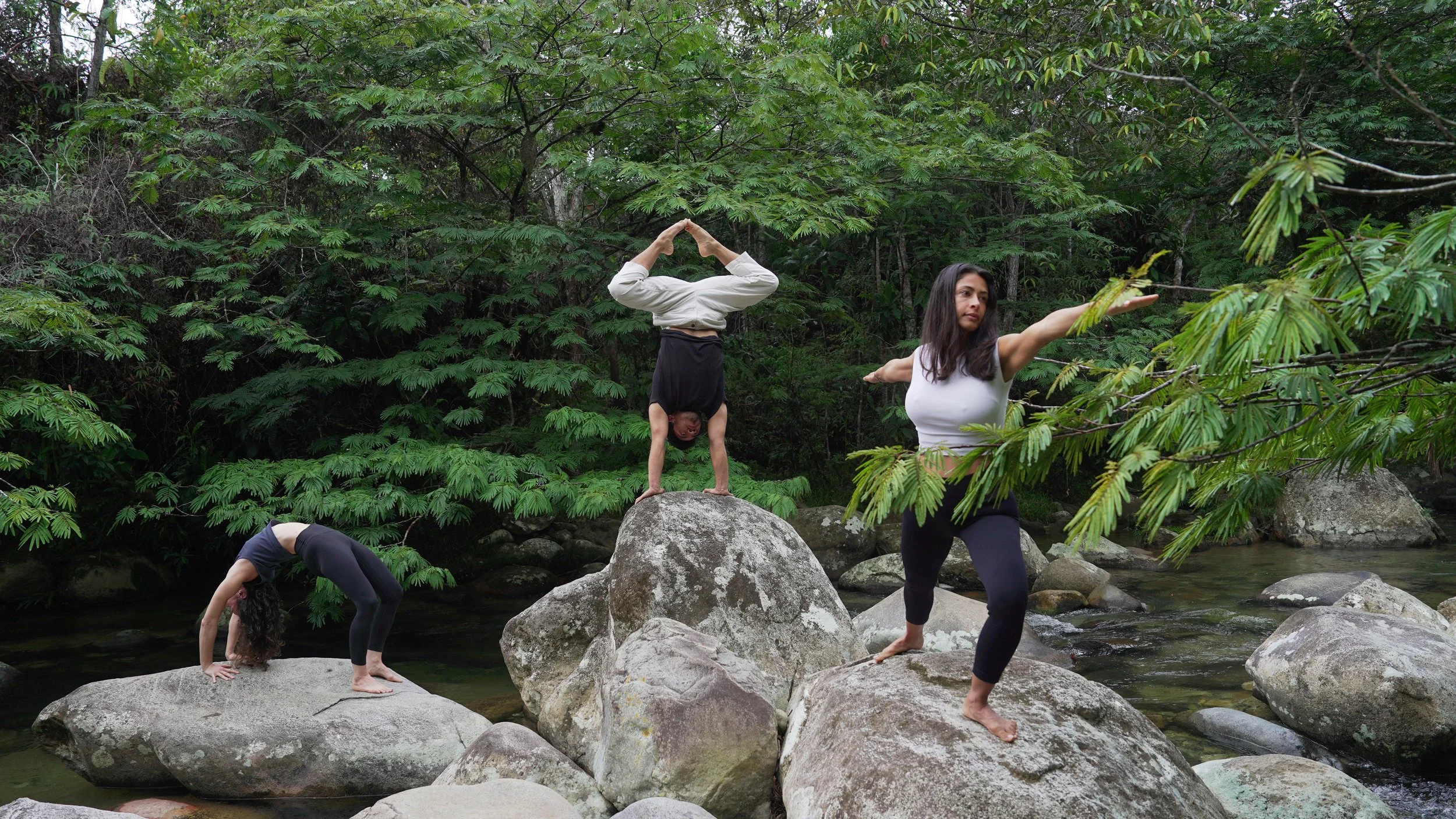 Diversas personas practicando yoga en rocas junto a un río rodeado de árboles verdes.