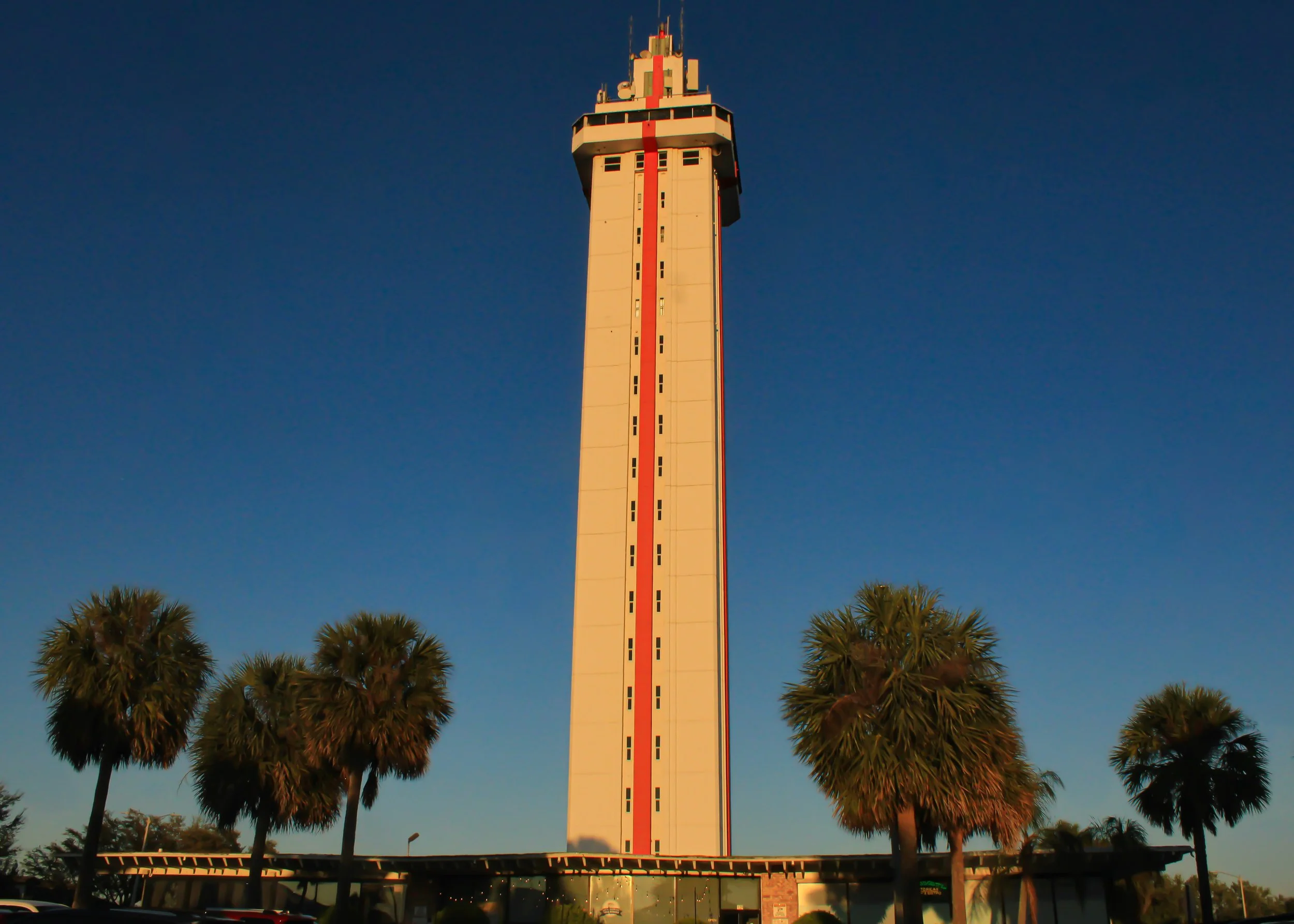 The Florida Citrus Tower rising above palm trees in Clermont, Florida.