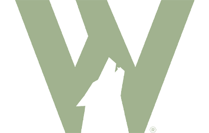 A stylized green letter W on a black background.