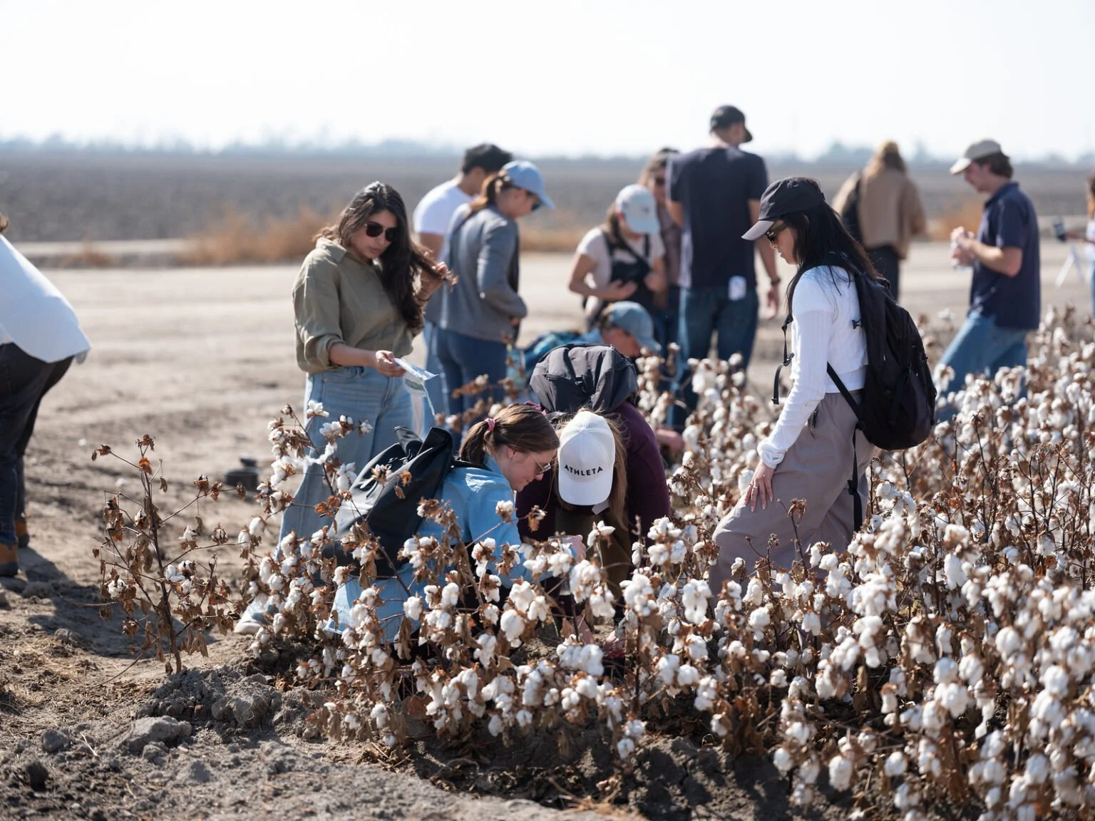 The Future of Soil-Regenerating Cotton: A Tour with Bowles Farming Company and Fibershed