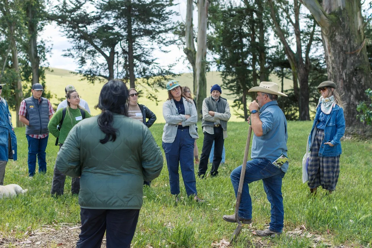 Climate Beneficial Agriculture in Practice at Stemple Creek Ranch: Recapping our Recent Ranch Tour