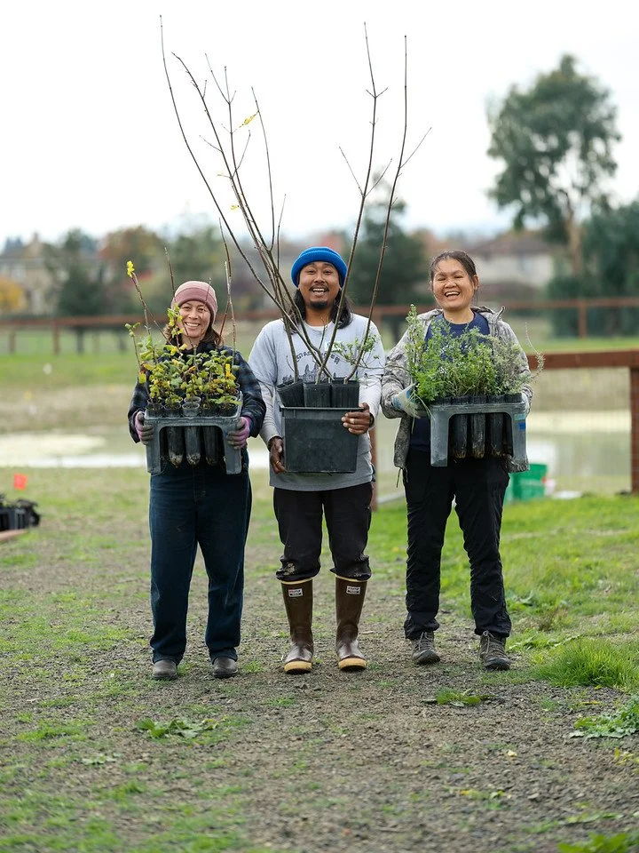 Agroforestry