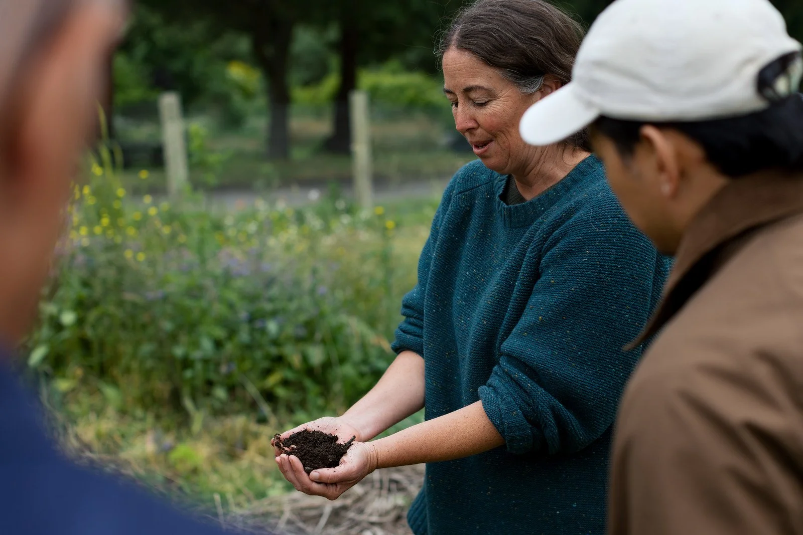 Healthy soil at the Fibershed Learning Center, held by Rebecca Burgess.