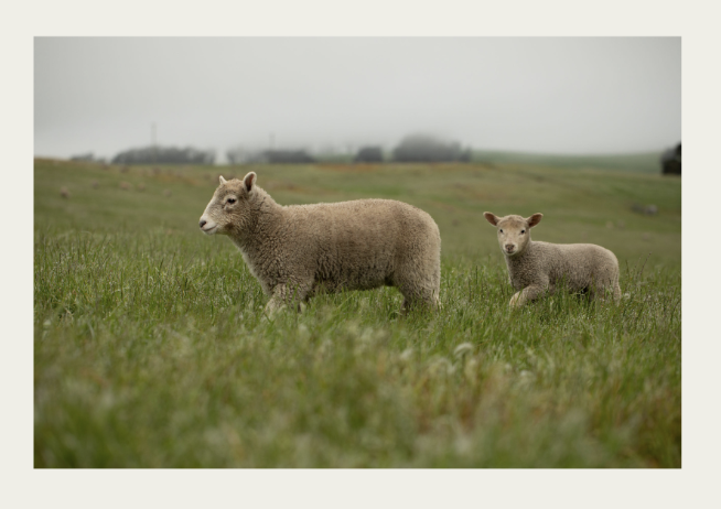 Screenshot 2026-02-23 at 3.18.22 PM.png