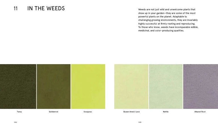 4in_the_weeds.jpeg