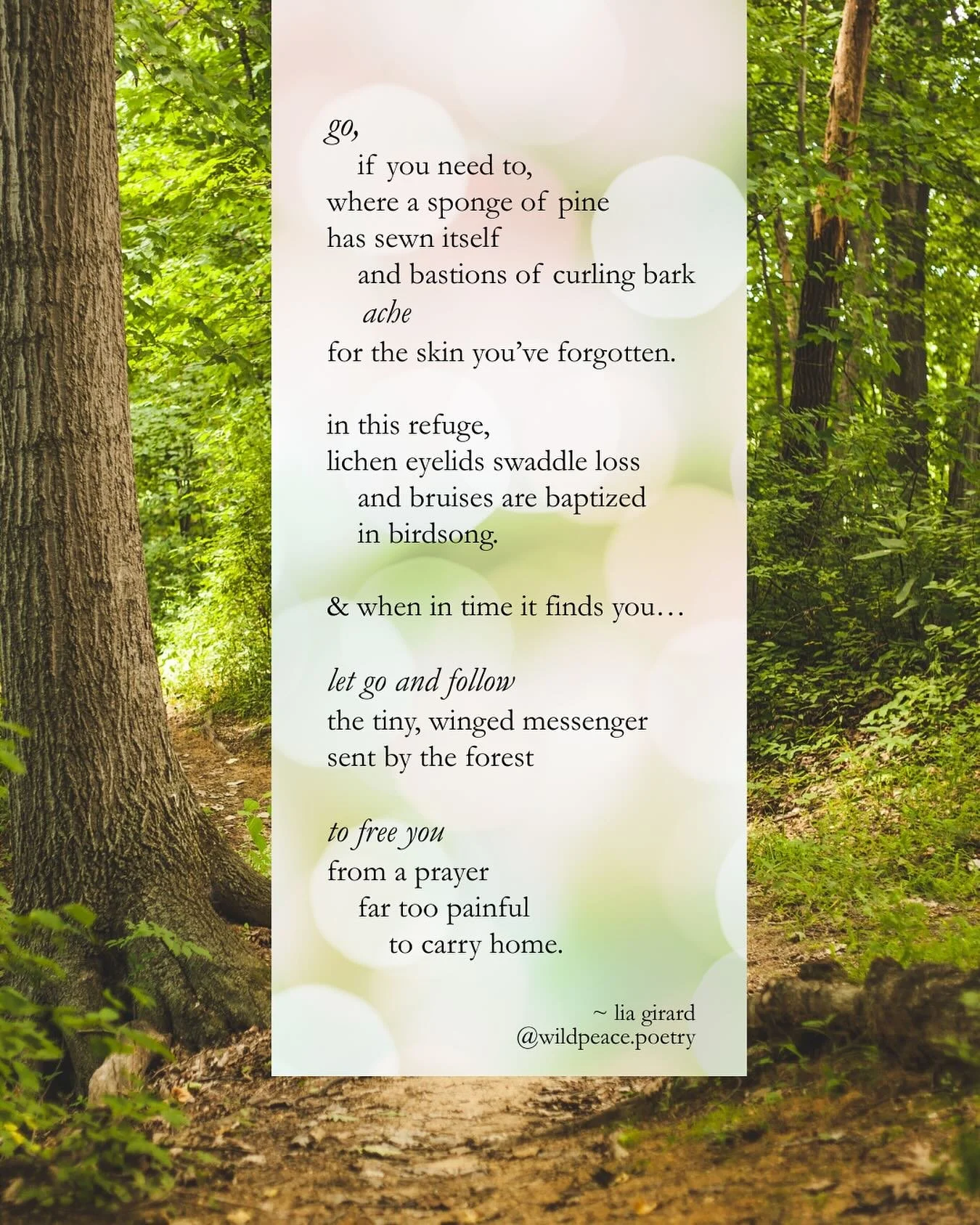 Sometimes you just need to find a place that&rsquo;s quiet enough for you to hear what&rsquo;s true.
.
.
.
poems about nature, healing poetry, poems about renewal, encouraging poetry

#poetryislife #bekindtoyourself #healing #findingyourway #itiswell