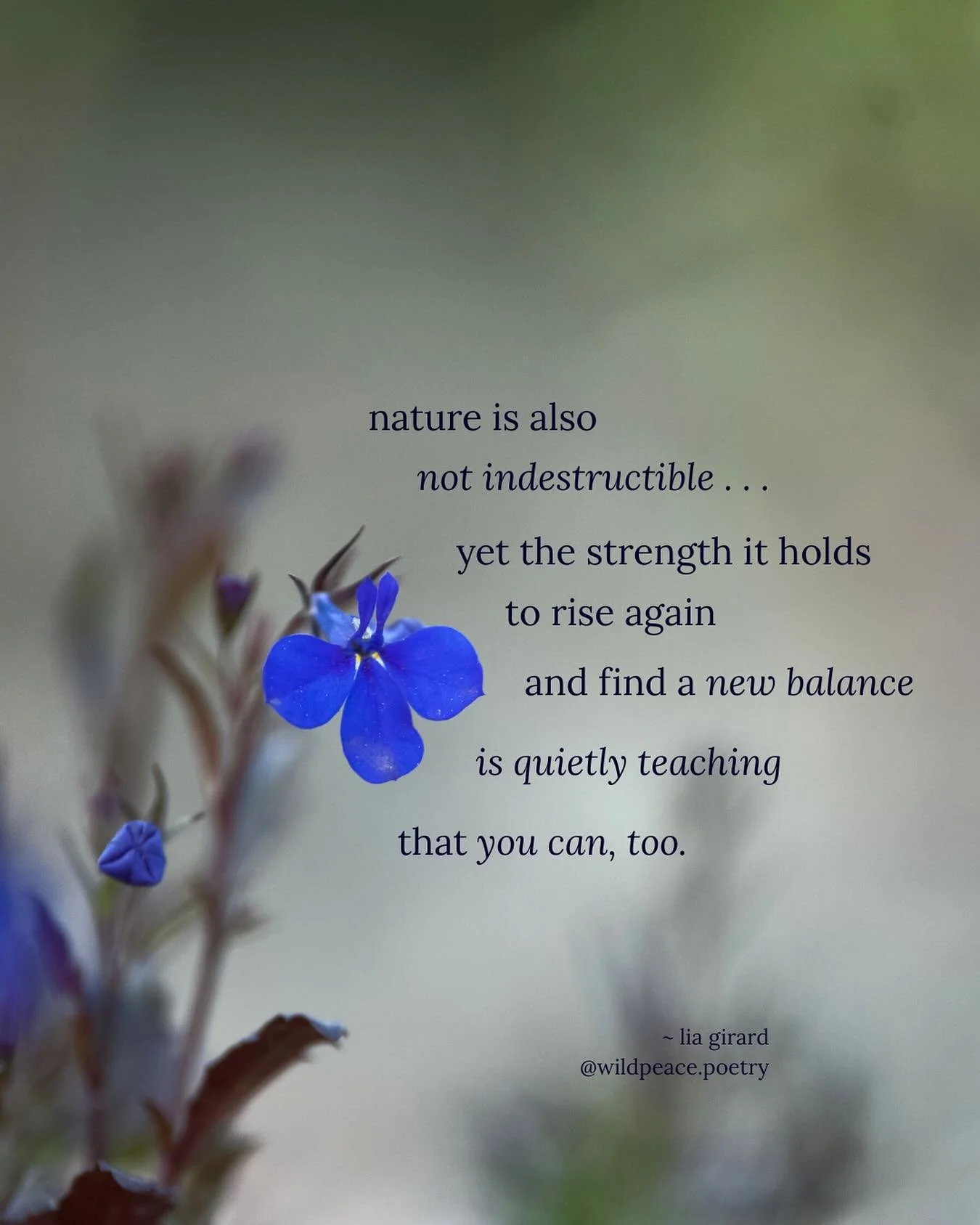 I know some days it&rsquo;s hard to keep believing. To keep giving it all you have. To even face the day. 

Please know that everywhere, the wondrous power that imagined and created you is holding with gentleness every goodbye, every new inspiration,
