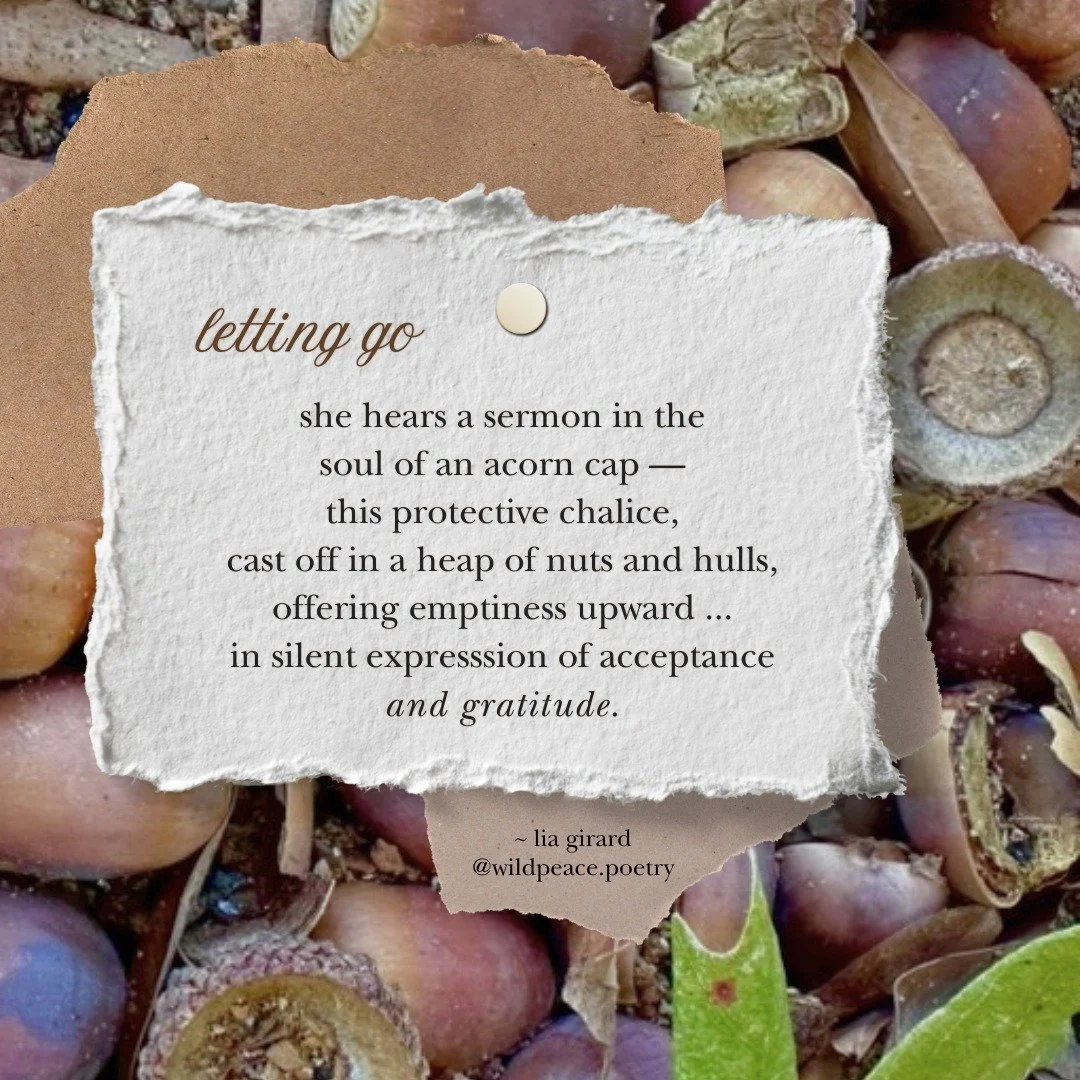 autumn walks are sensory and sacred to me, do you agree? 

Recently, I bent down to hear these acorns all around my feet, and I felt they shared their thoughts with me. 

What does the smallest bit of nature reveal to you?
.
.
.
poems about nature, g