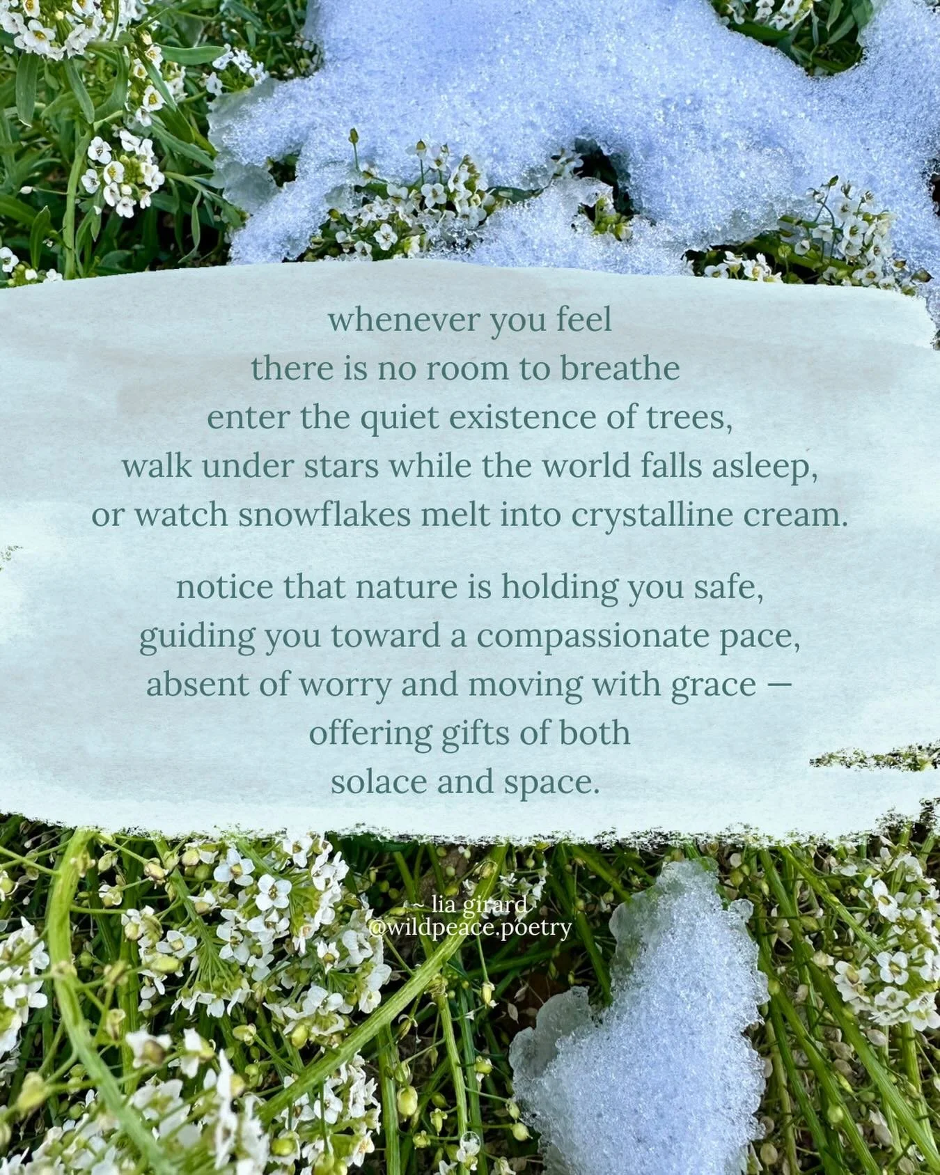 Took this photo on a walk through Worthington, Ohio on a recent trip to visit my hubby&rsquo;s parents. The air was brisk, and these tufts of low-growing flowers smiling up through a recent snow warmed my heart. Thank you, nature &hellip; for teachin