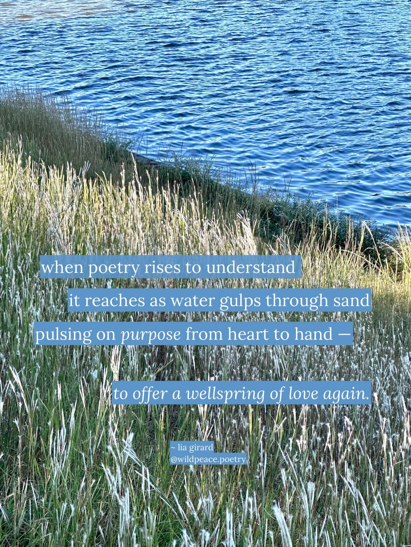 Saw this slant of sun, water and earth on a walk around the lakes and was captivated by its quiet beauty. 

Slowing down a bit to breathe, notice and maybe even craft a poem, is a worthy pursuit in this weary world. 

Wherever and however you find pe