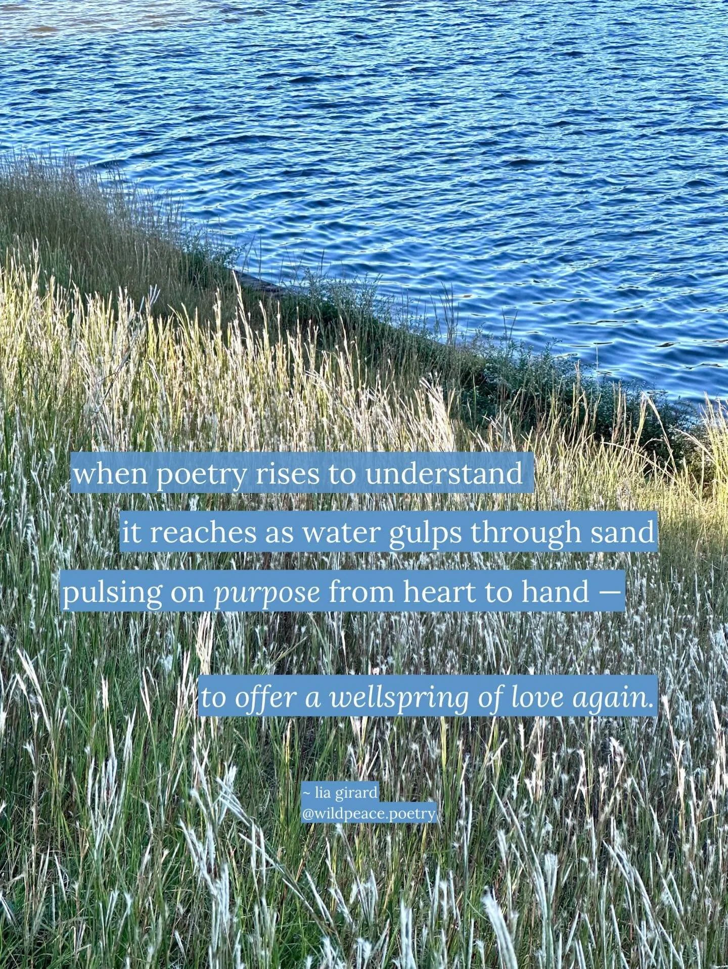 Saw this slant of sun, water and earth on a walk around the lakes and was captivated by its quiet beauty. 

Slowing down a bit to breathe, notice and maybe even craft a poem, is a worthy pursuit in this weary world. 

Wherever and however you find pe