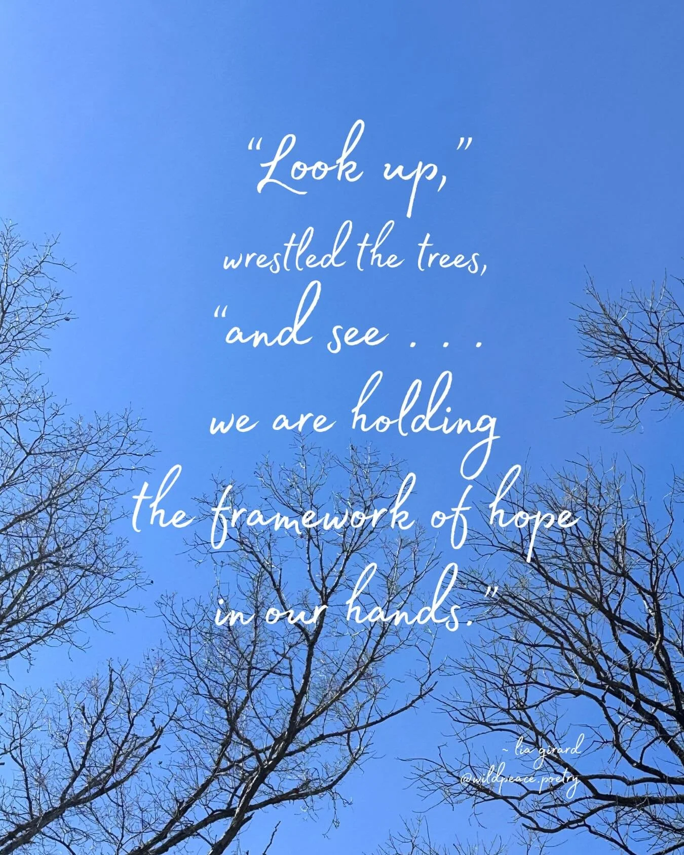 Looked up on my walk, and this is what I heard the trees say. There is always hope. Just pause and notice that it&rsquo;s happening &hellip; slowly, quietly, daily. 
.
.
.
#naturepoetry #poetryrise #poemsabouthope #poemsforhealing